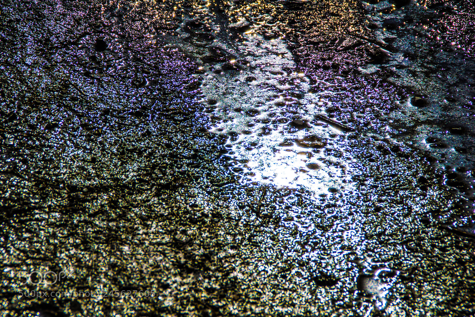 Sony a5100 sample photo. Walking on castione pt5 photography