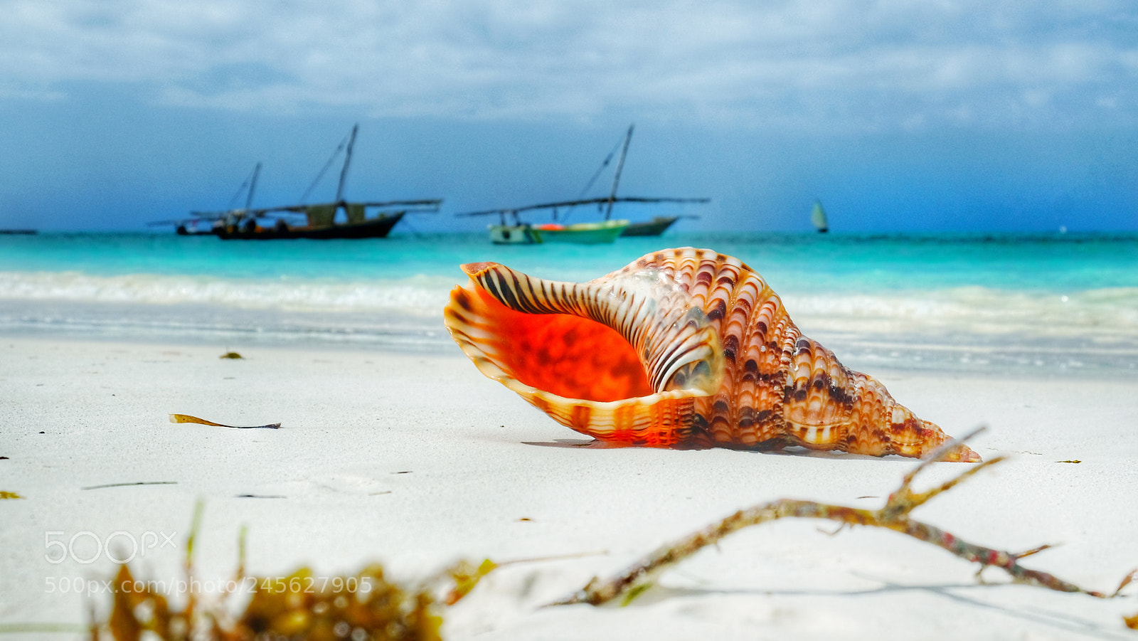 Fujifilm X-T2 sample photo. Zanzibar photography