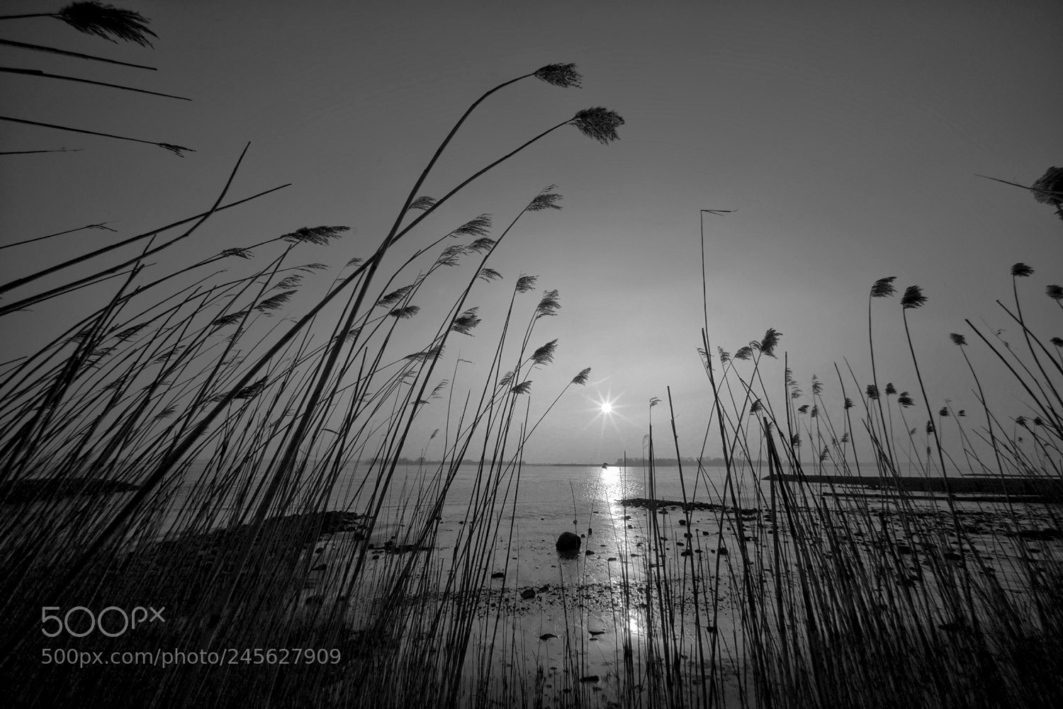 Sony a7R sample photo. Cold day on the photography