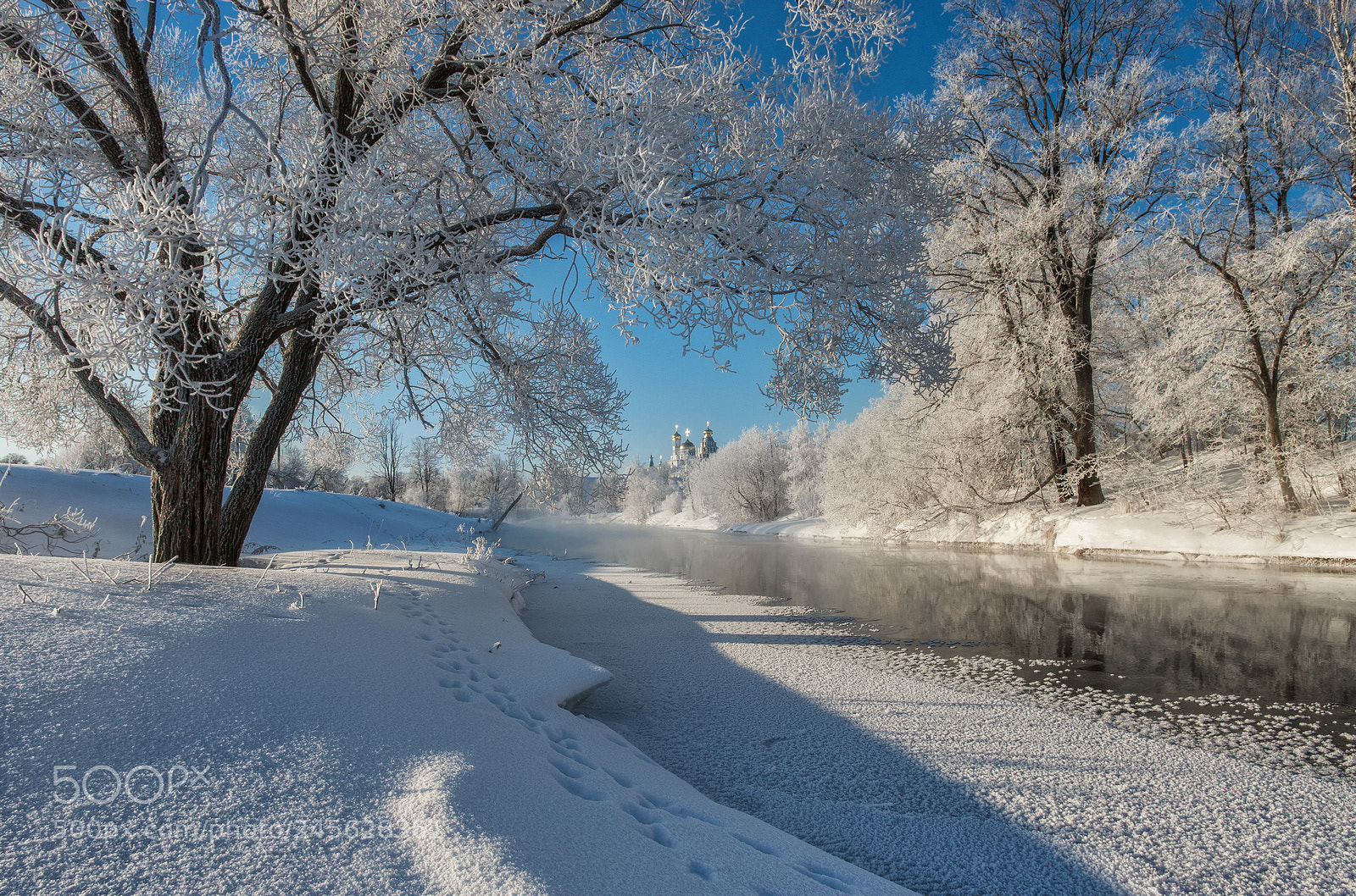 Pentax K-5 IIs sample photo. Frost and sun photography