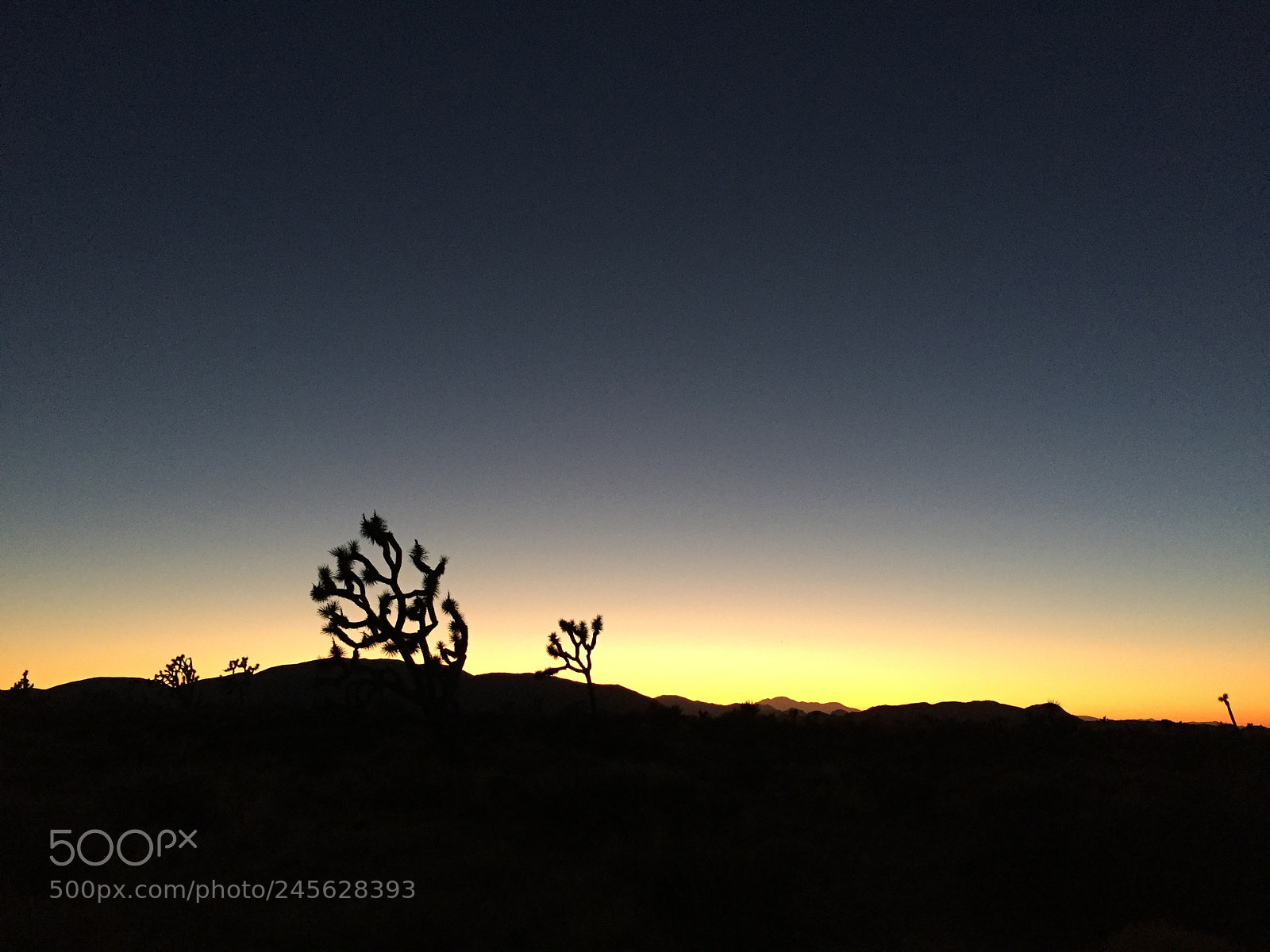 Apple iPhone 6 sample photo. Sunset photography
