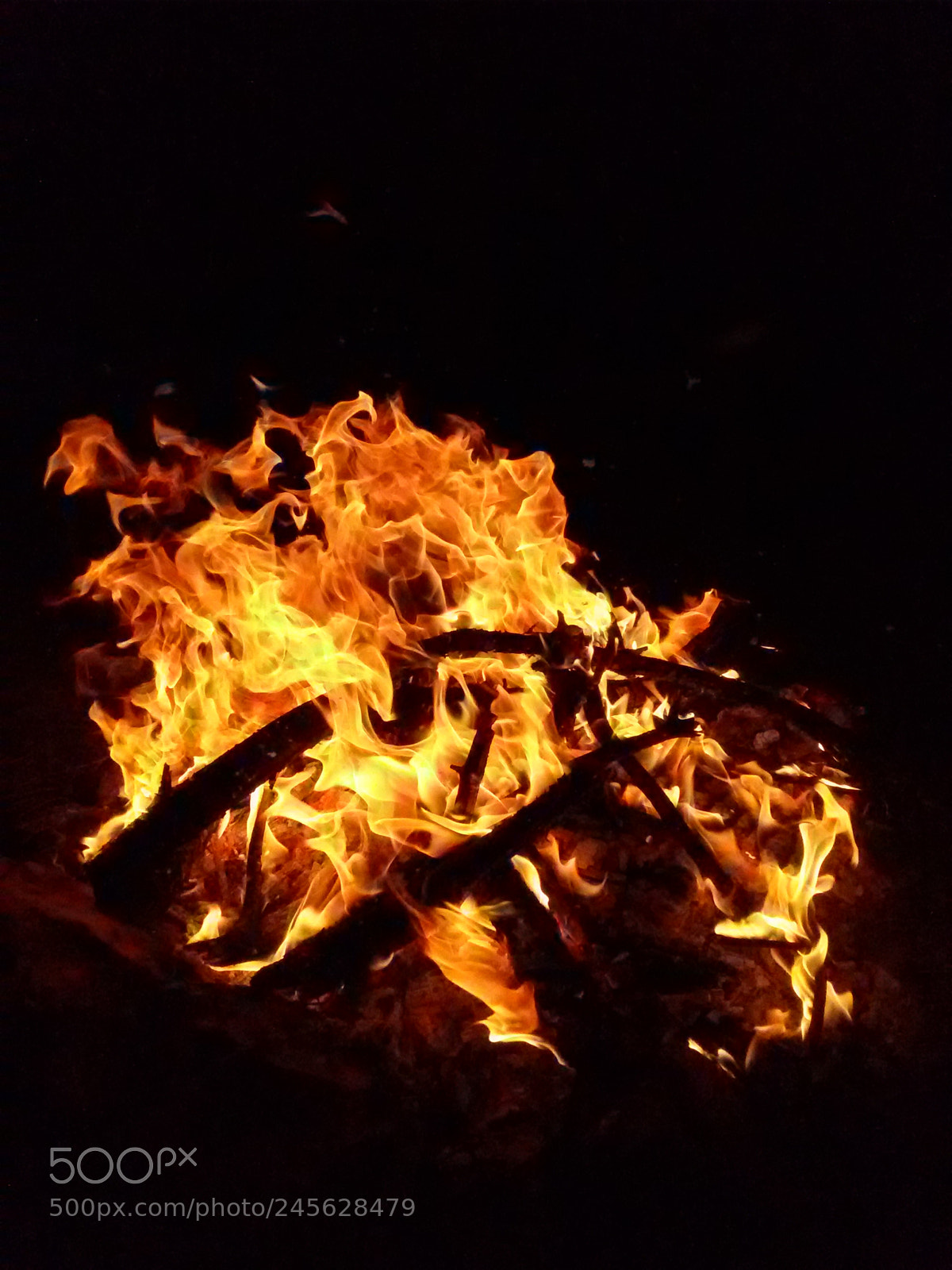 Samsung Galaxy S5 Mini sample photo. Untitled photography