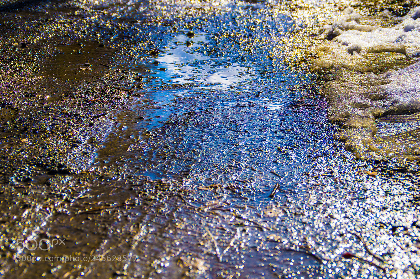 Sony a5100 sample photo. Walking on castione pt5 photography