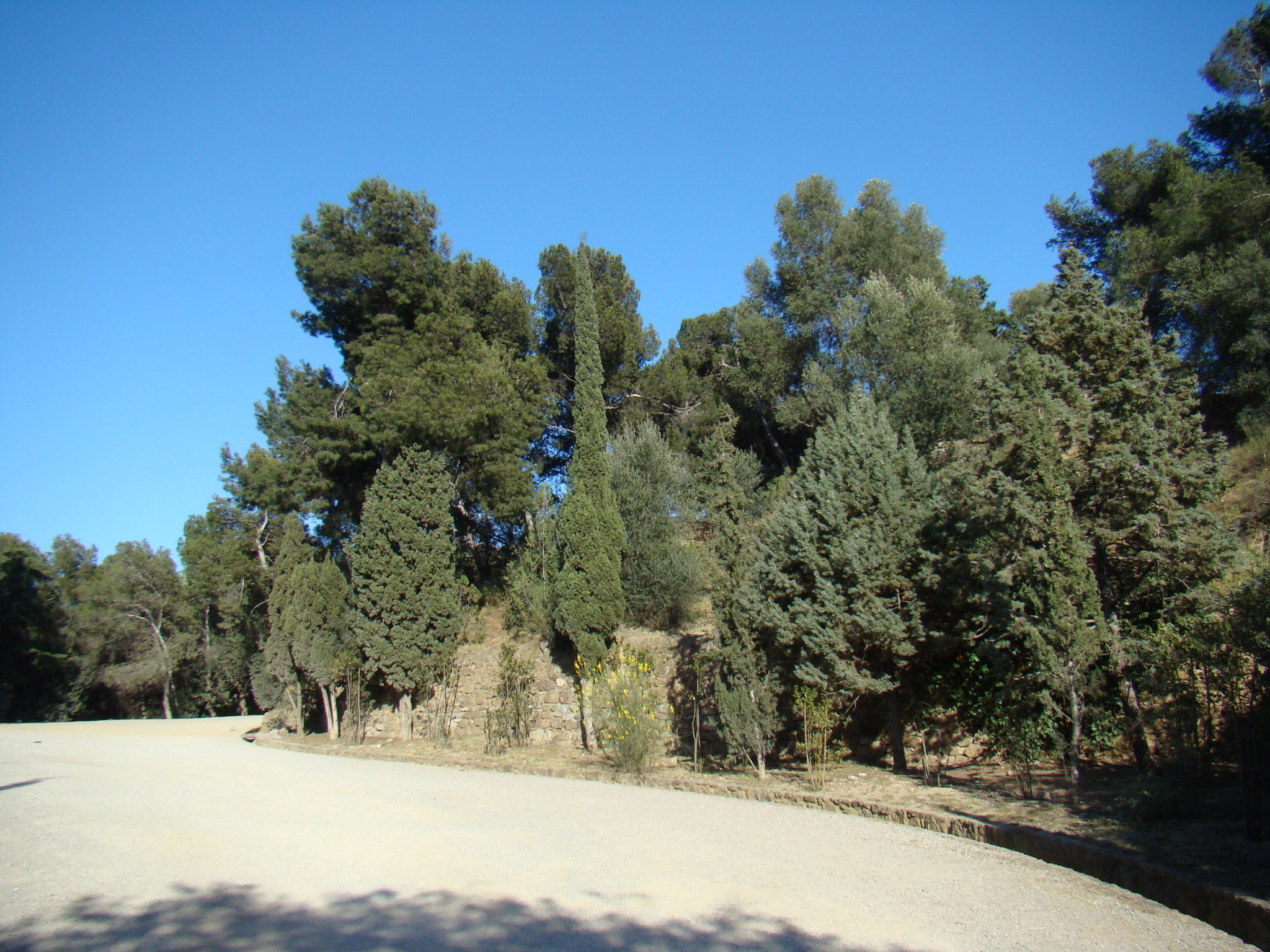 Sony DSC-H9 sample photo. Güell en color photography