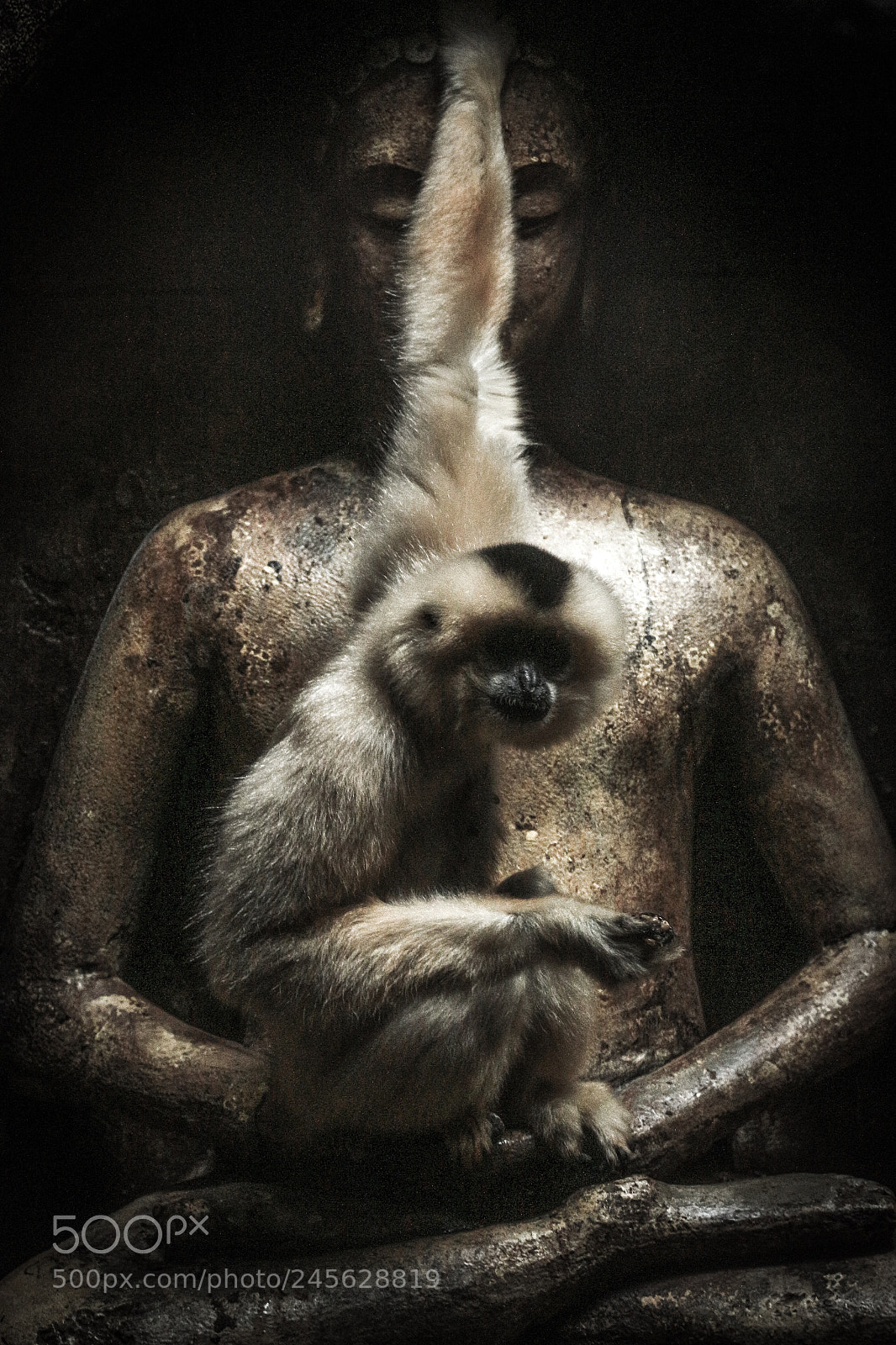 Canon EOS 700D (EOS Rebel T5i / EOS Kiss X7i) sample photo. This is my buddha photography