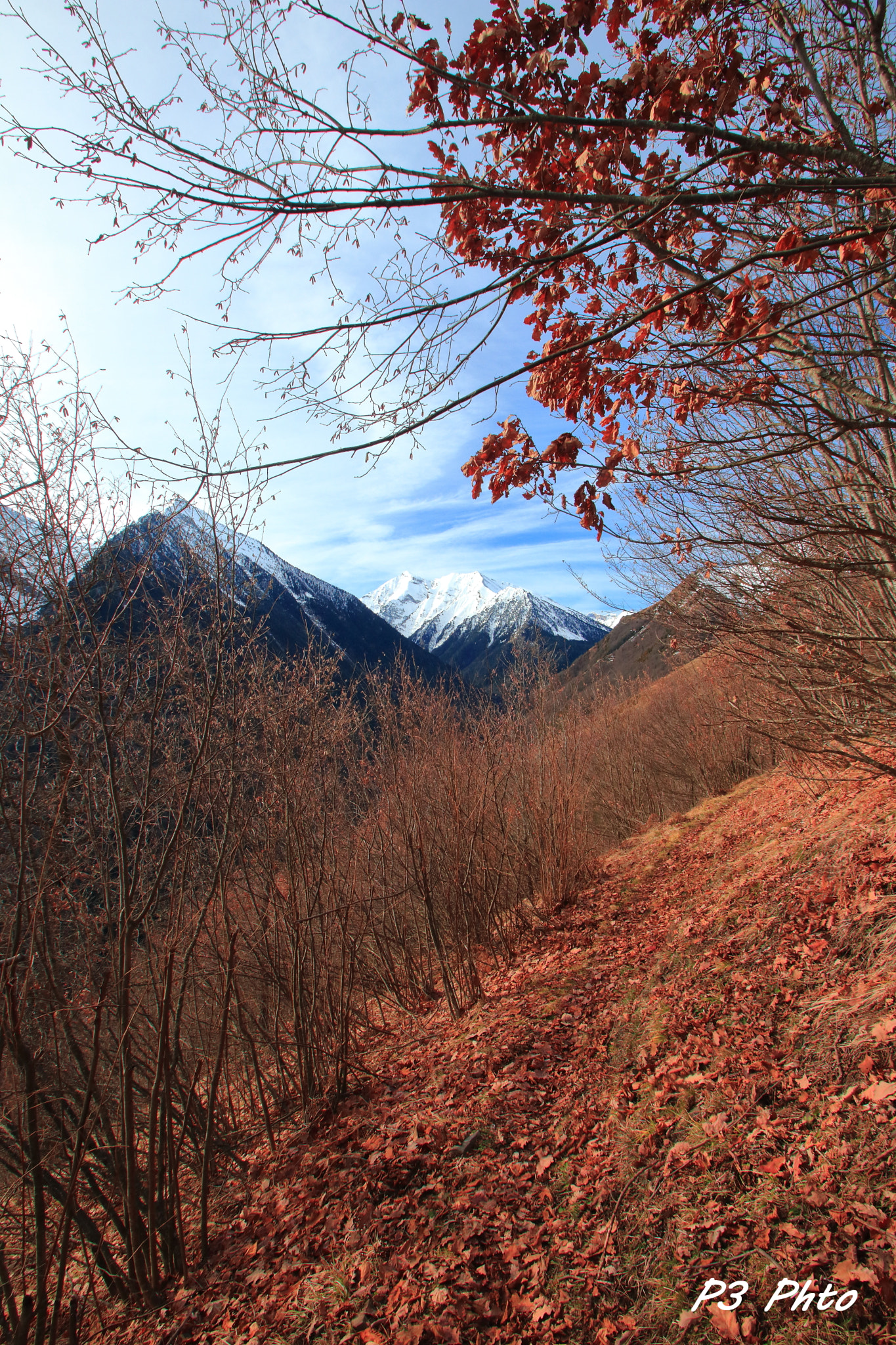 Sigma 10-20mm F3.5 EX DC HSM sample photo. Img photography