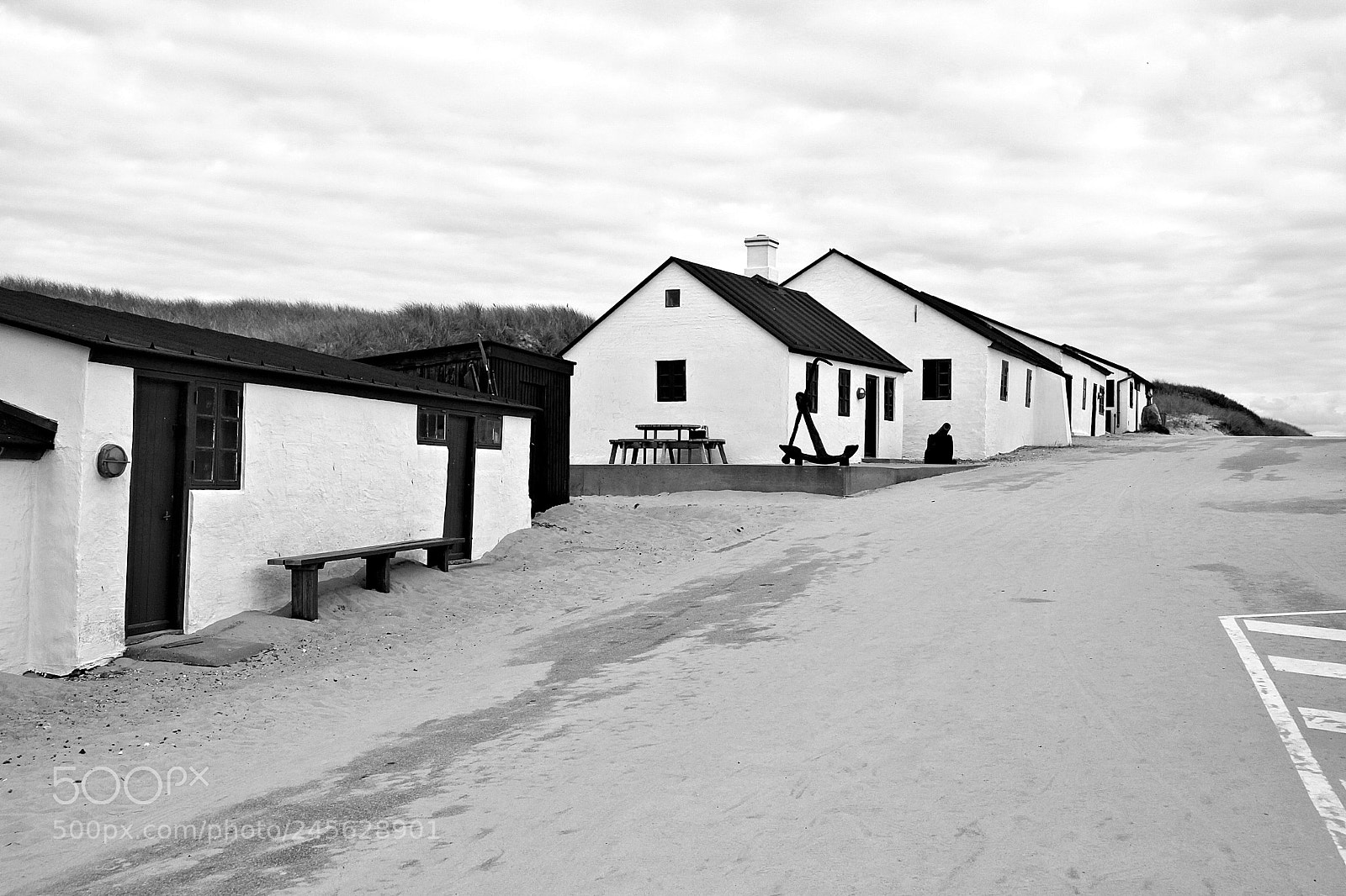 Canon EOS 50D sample photo. Stenbjergbw photography