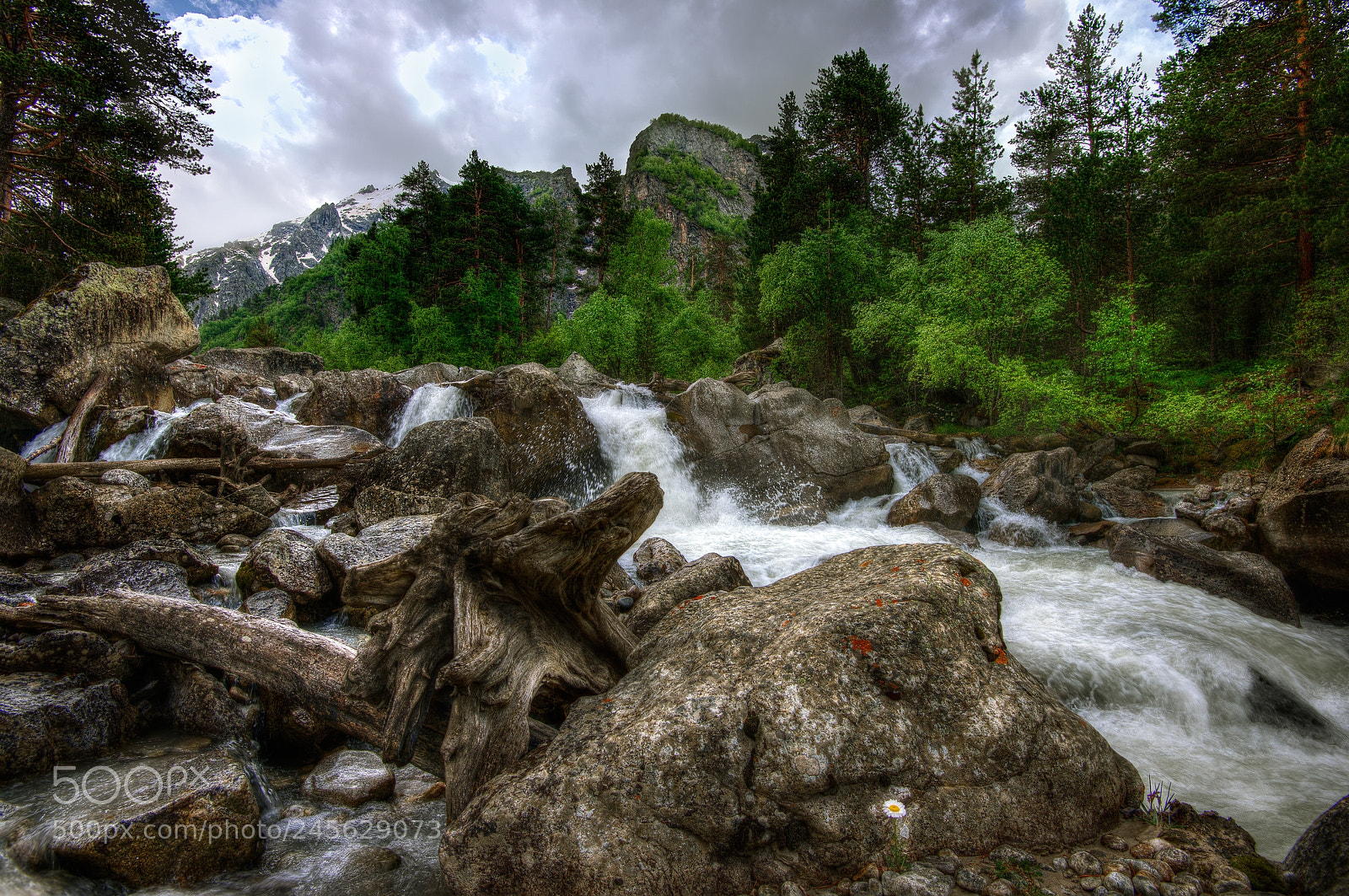 Nikon D800 sample photo. Fairy way photography