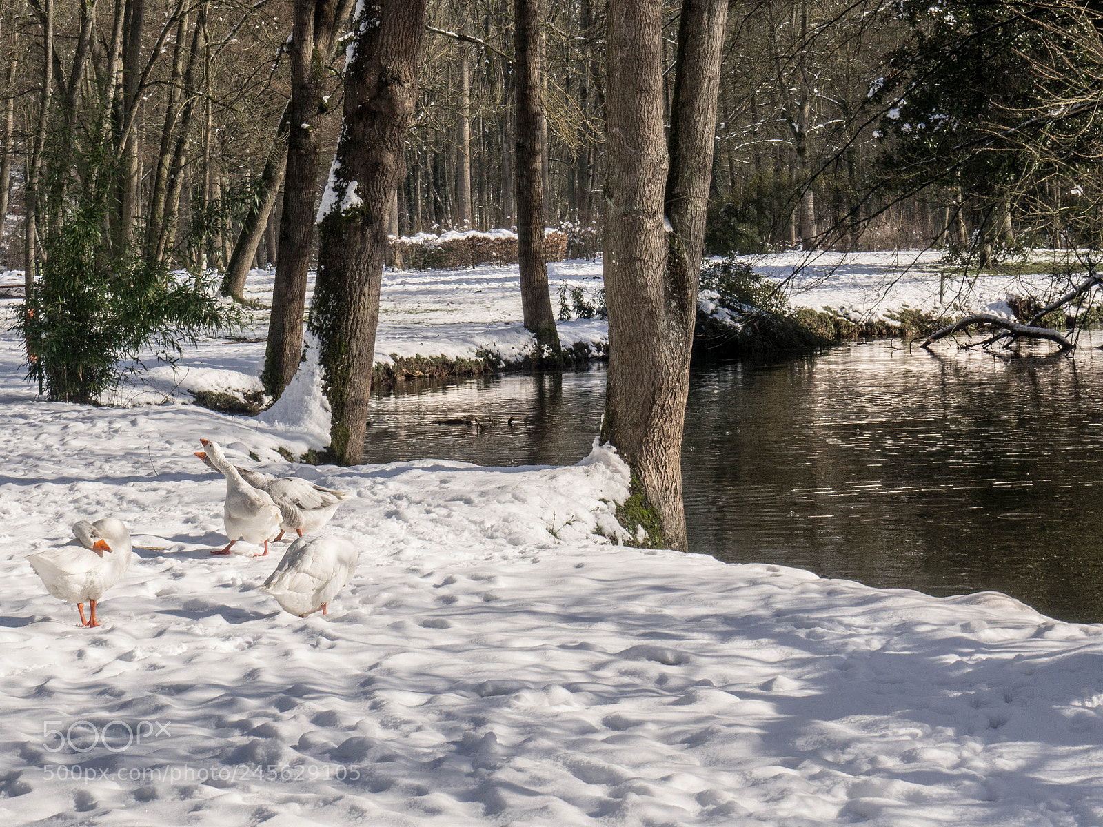 Olympus OM-D E-M10 sample photo. Parc photography