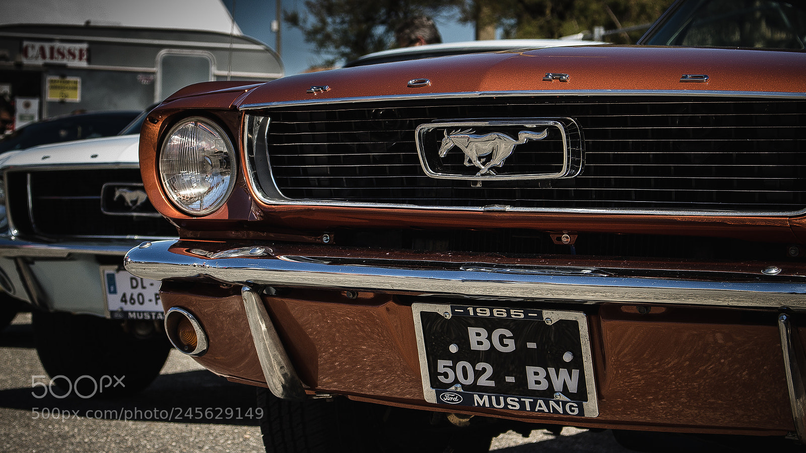 Canon EOS 700D (EOS Rebel T5i / EOS Kiss X7i) sample photo. Ford mustang photography