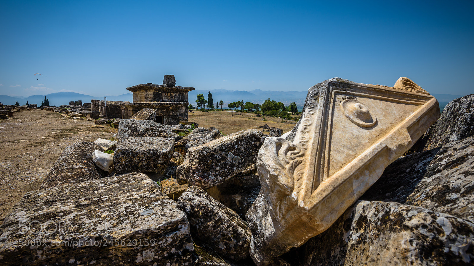 Nikon D810 sample photo. Fly over history photography