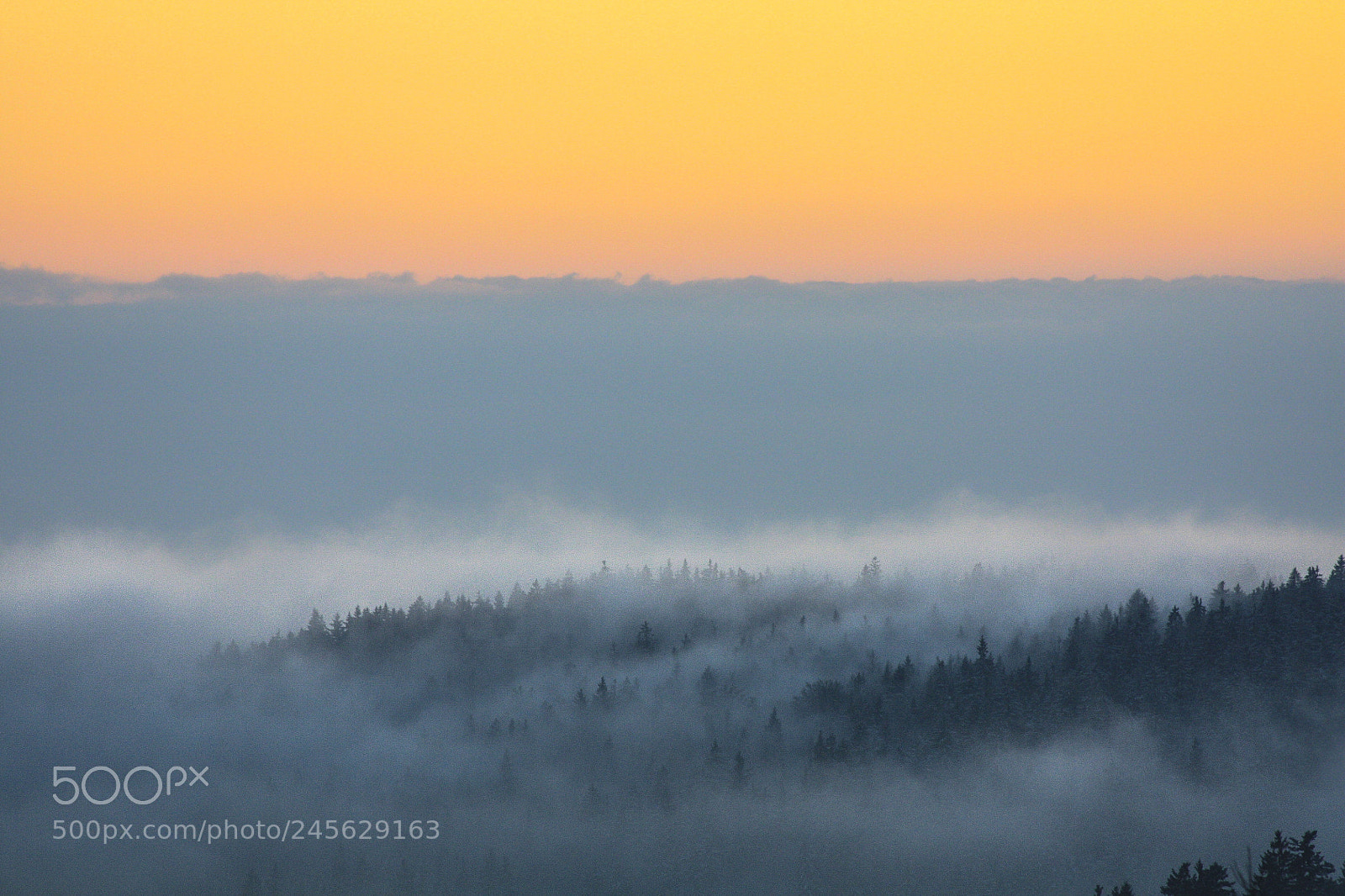 Canon EOS 450D (EOS Rebel XSi / EOS Kiss X2) sample photo. Foggy sunset photography