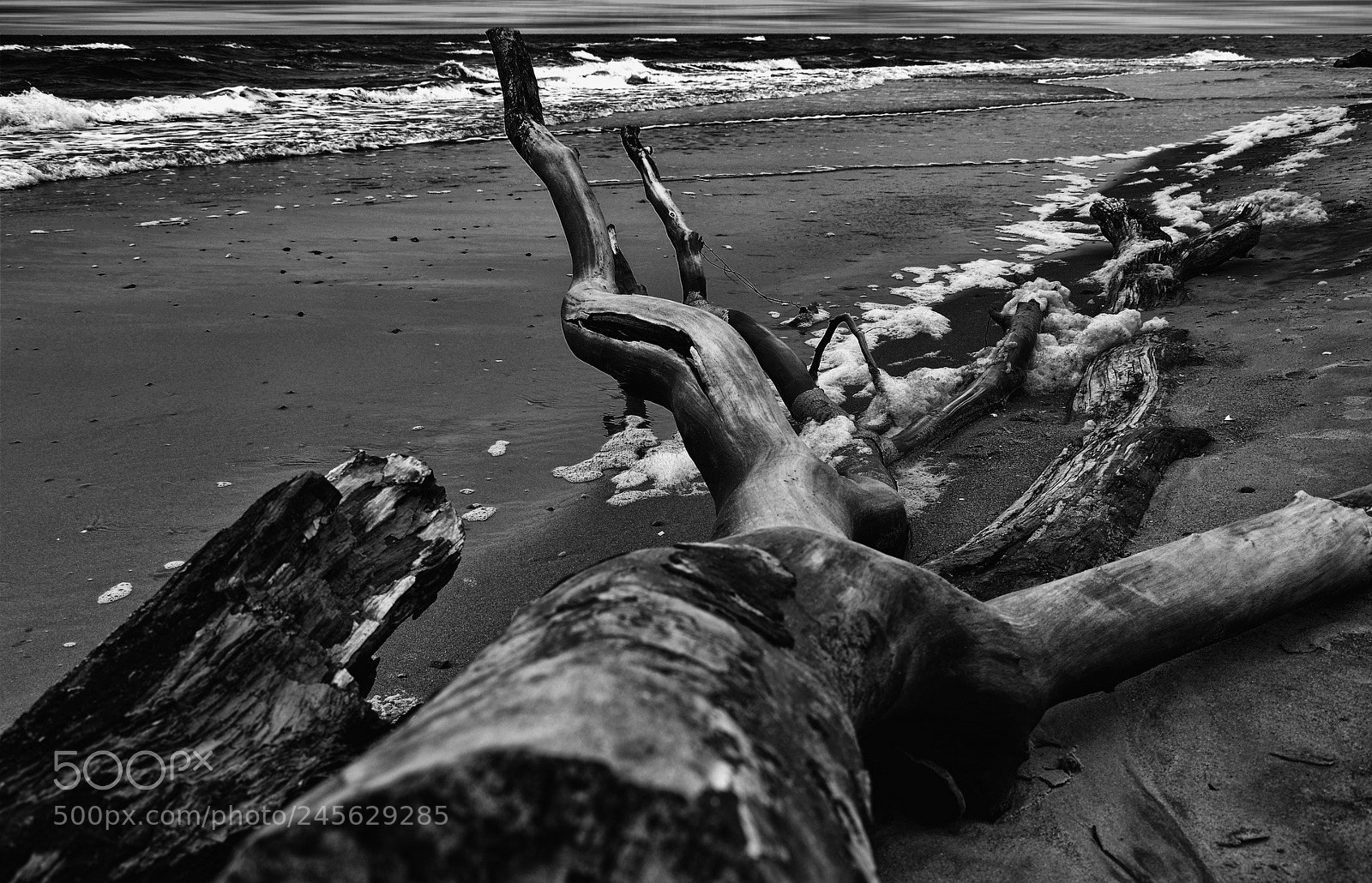 Nikon D5100 sample photo. Flotsam photography