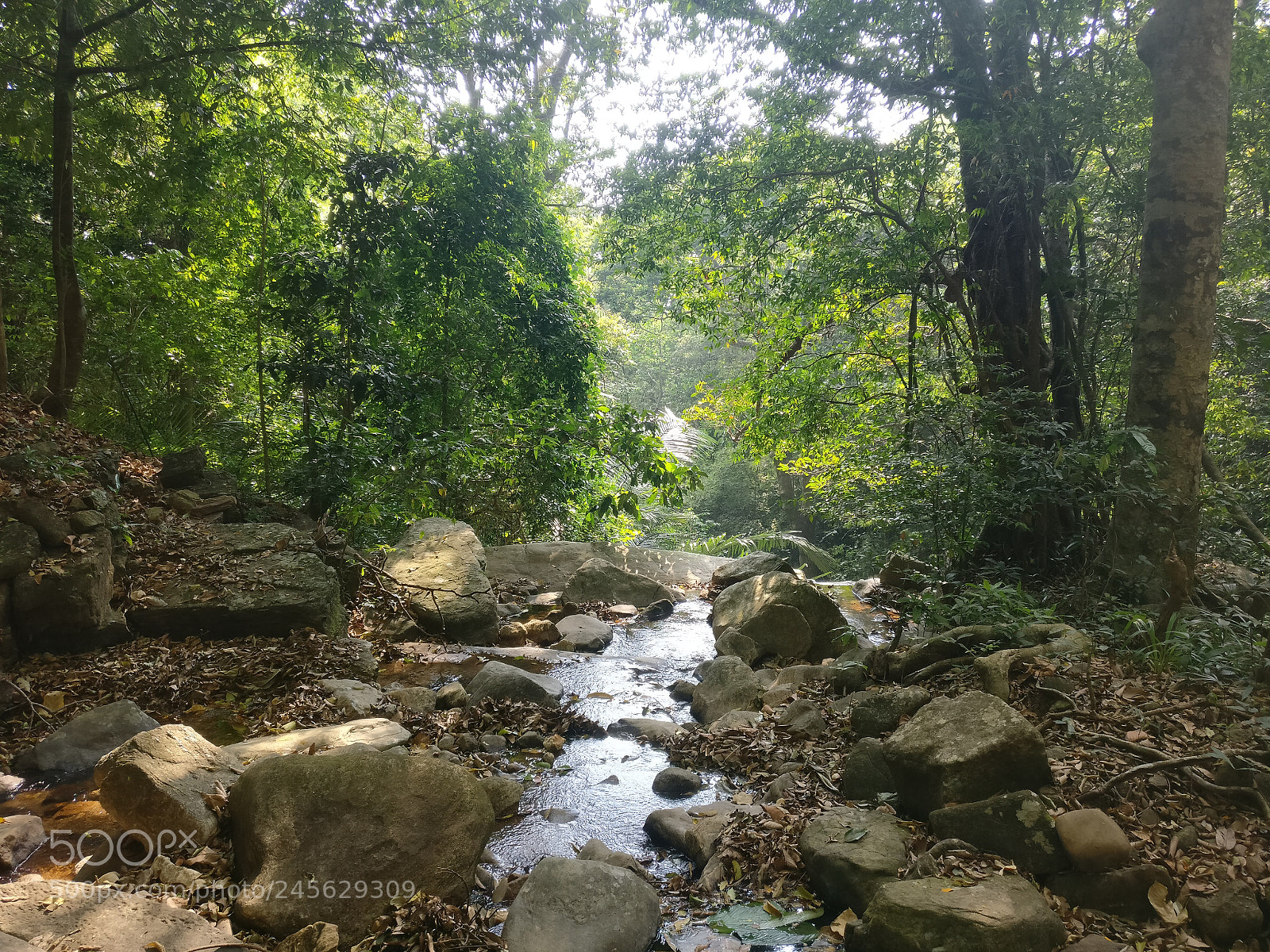OnePlus A3003 sample photo. Untitled photography