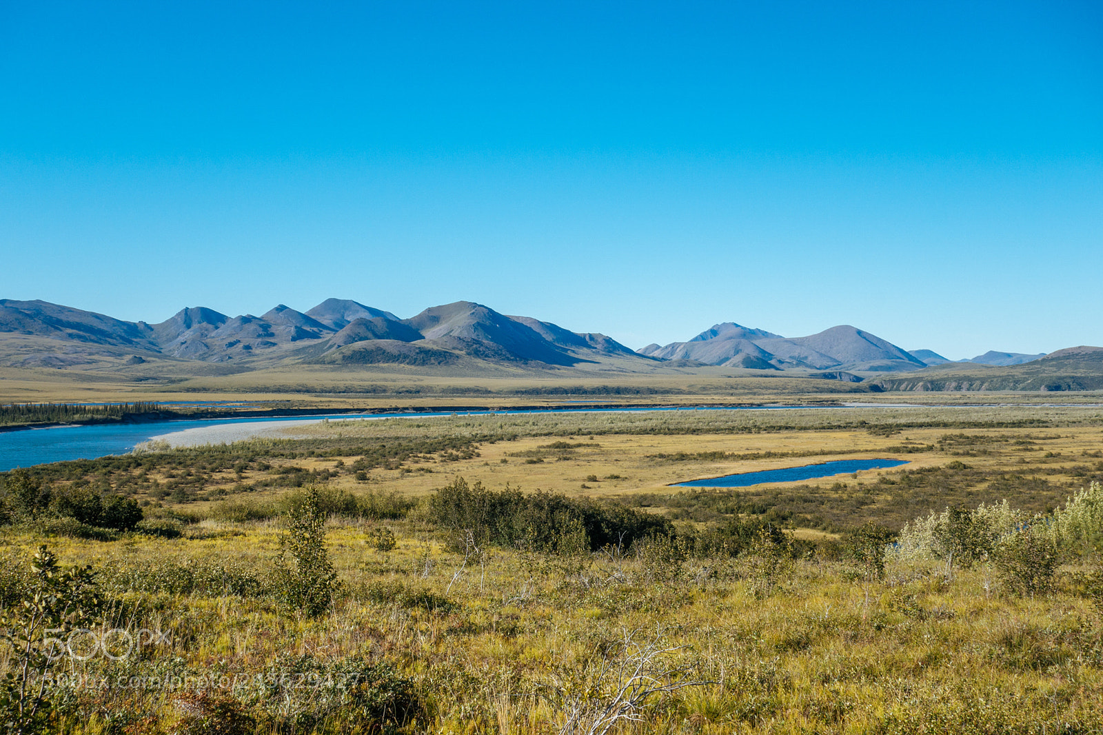 Sony Cyber-shot DSC-RX100 II sample photo. Alaskan tundra photography