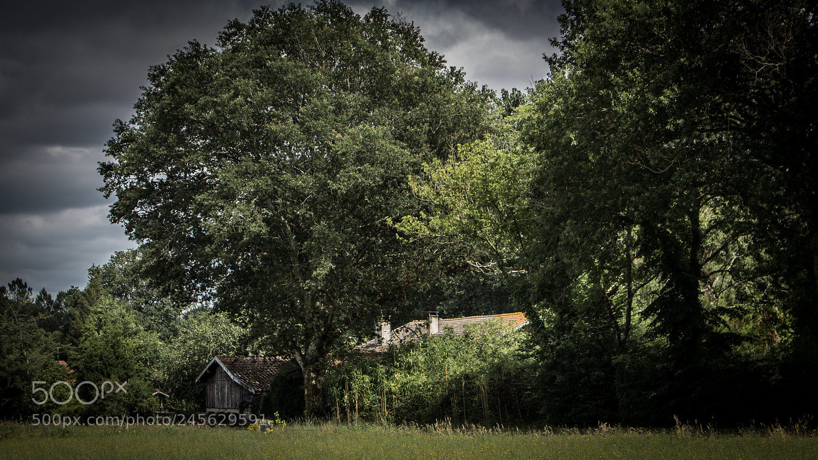 Canon EOS 700D (EOS Rebel T5i / EOS Kiss X7i) sample photo. Campagne photography