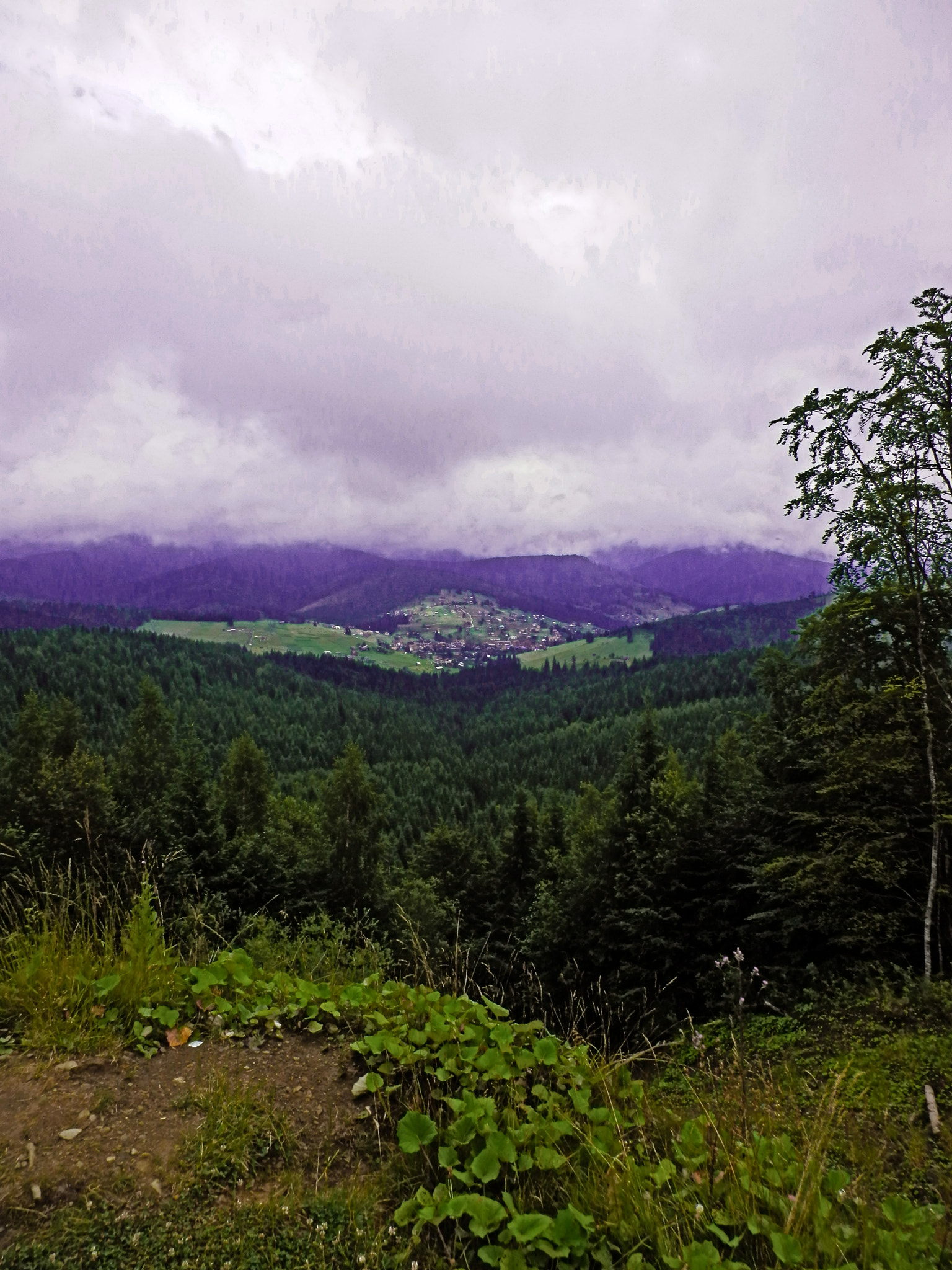 Olympus SZ-20 sample photo. Carpathian mountains view photography