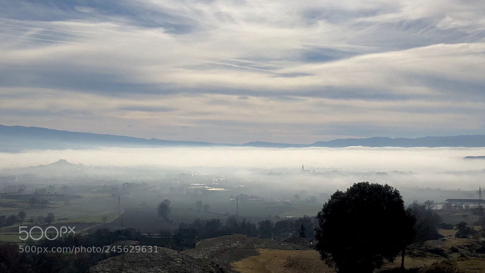 Apple iPhone X sample photo. Under the fog photography