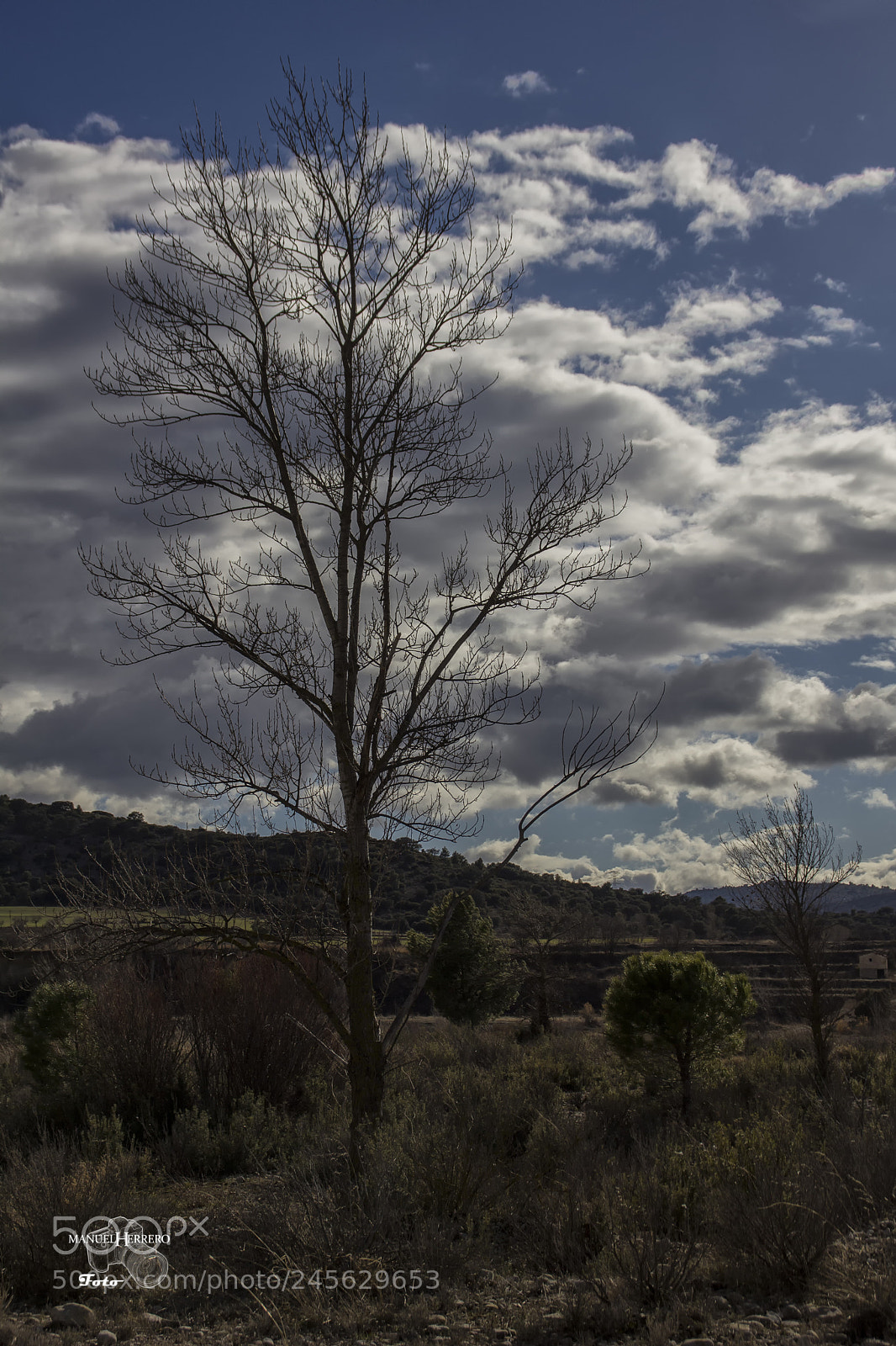 Canon EOS 550D (EOS Rebel T2i / EOS Kiss X4) sample photo. Nubarrones photography