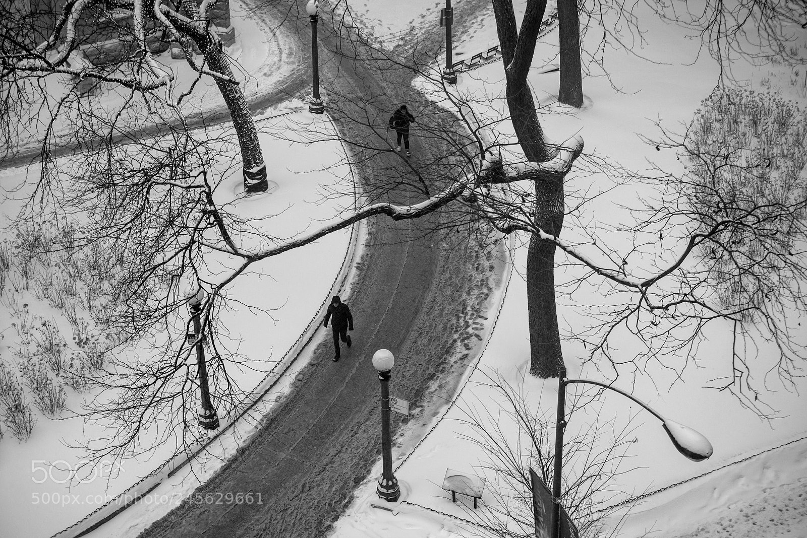 Nikon D610 sample photo. Winter in the park photography