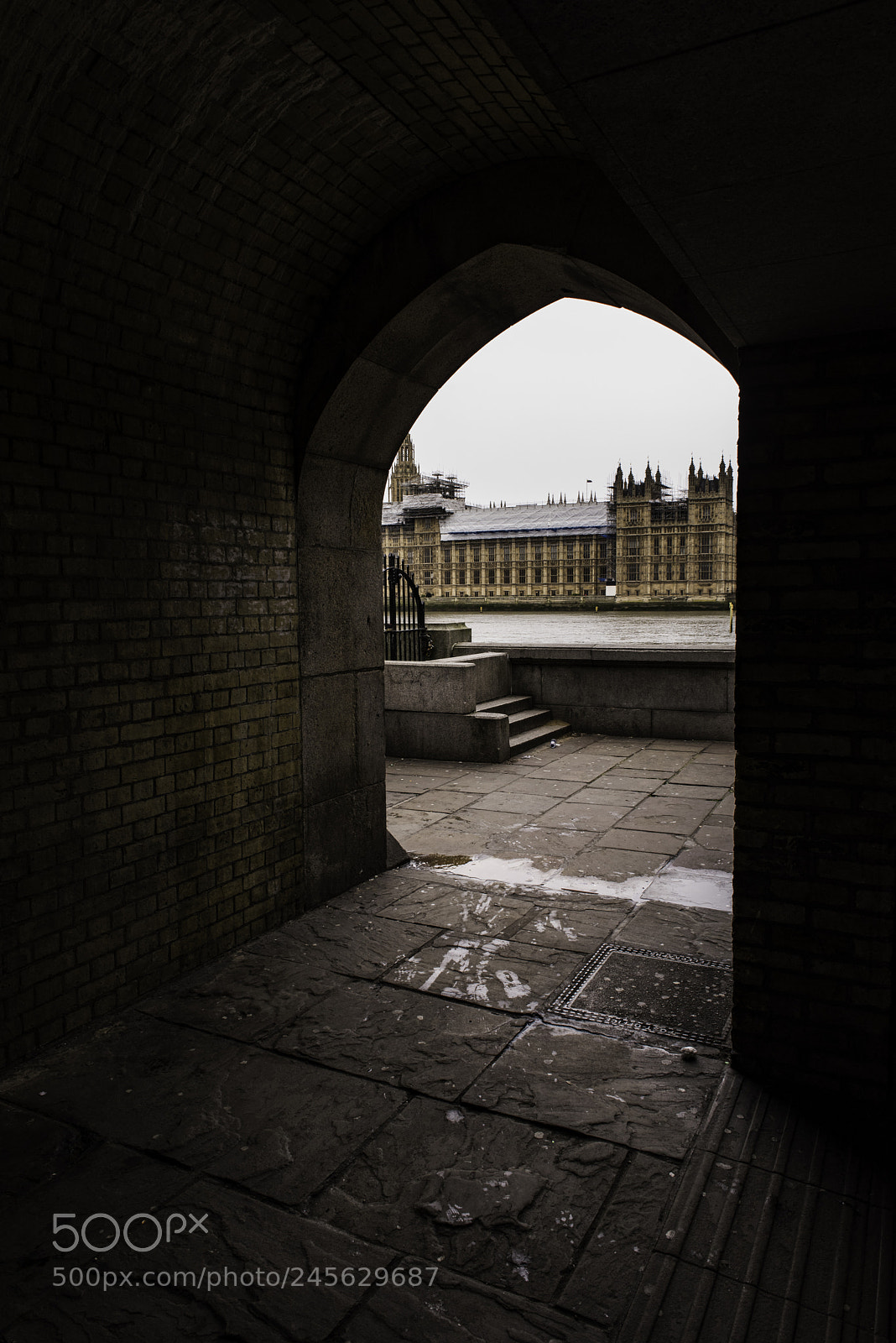 Nikon D810 sample photo. Houses of parliament photography