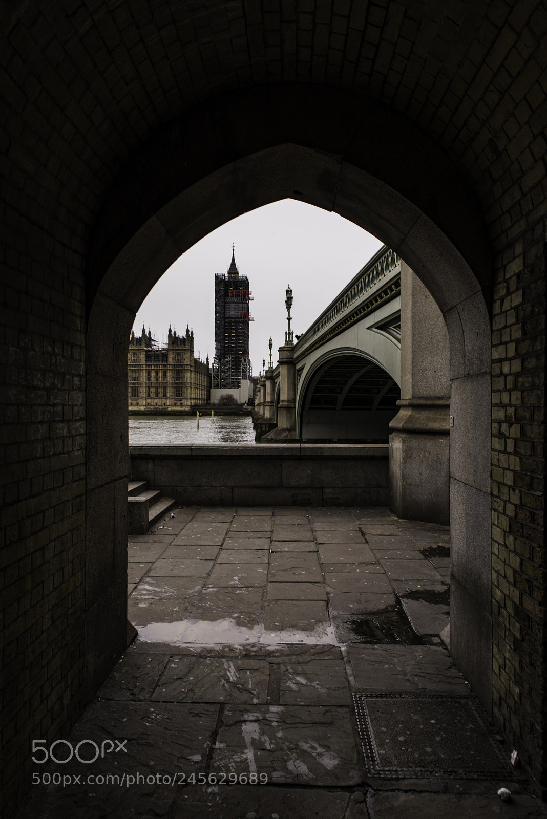 Nikon D810 sample photo. Houses of parliament photography