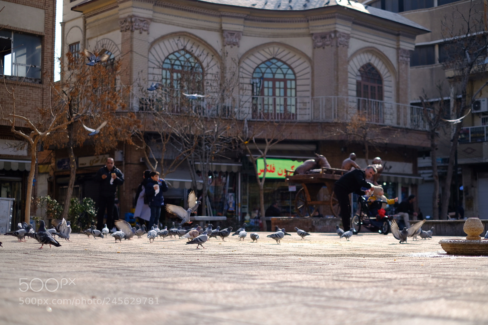 Fujifilm X-T2 sample photo. Untitled photography