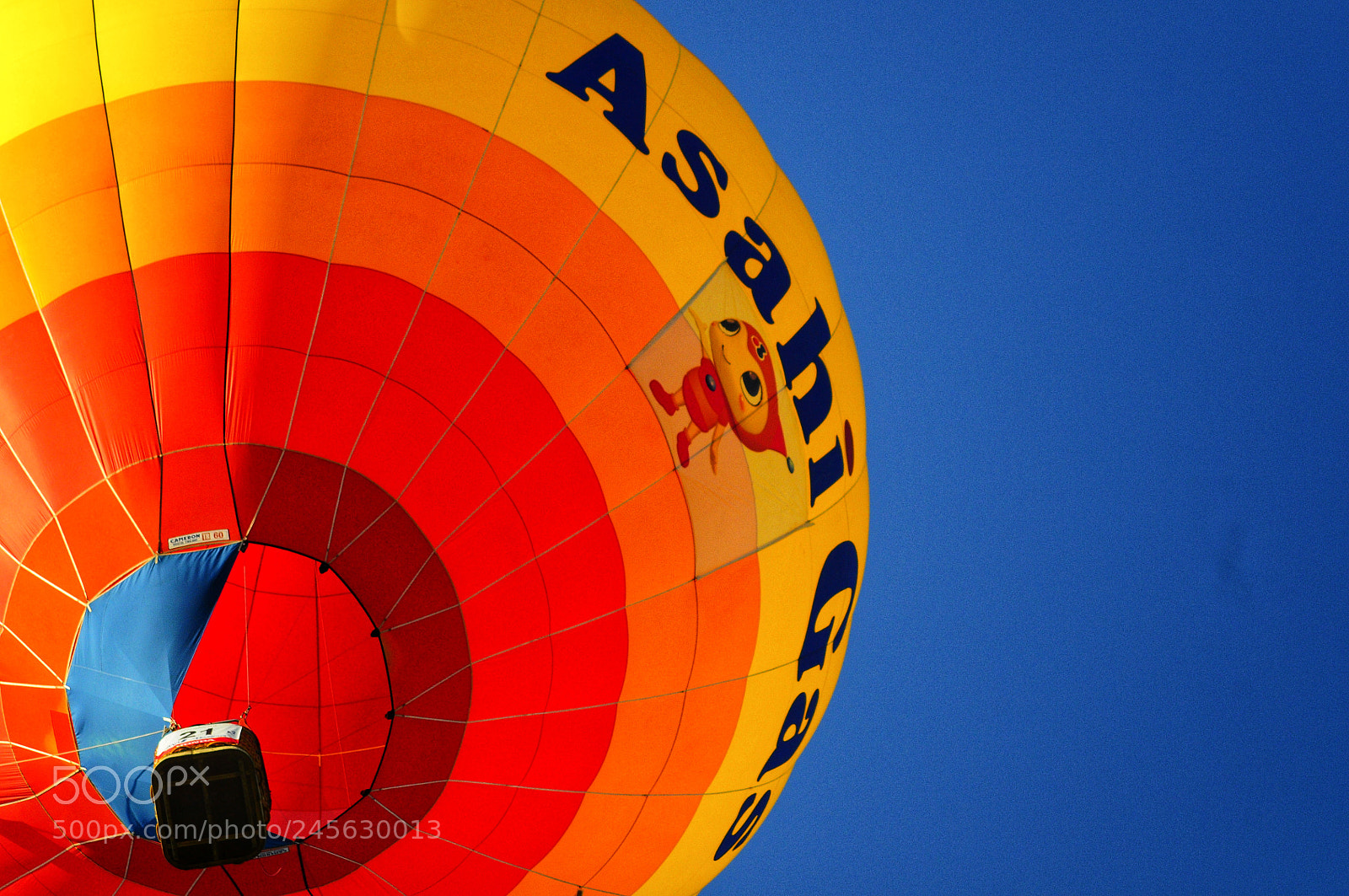 Nikon D300 sample photo. Balloon photography
