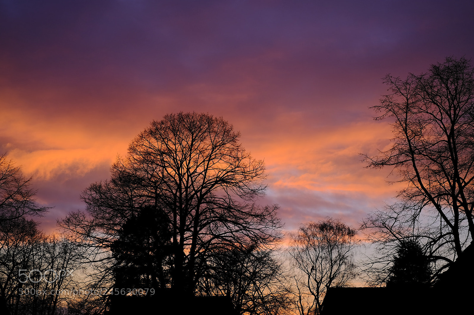 Fujifilm X-E3 sample photo. Last hours photography