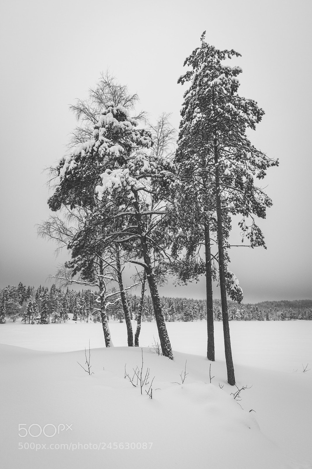 Nikon D7100 sample photo. ... photography
