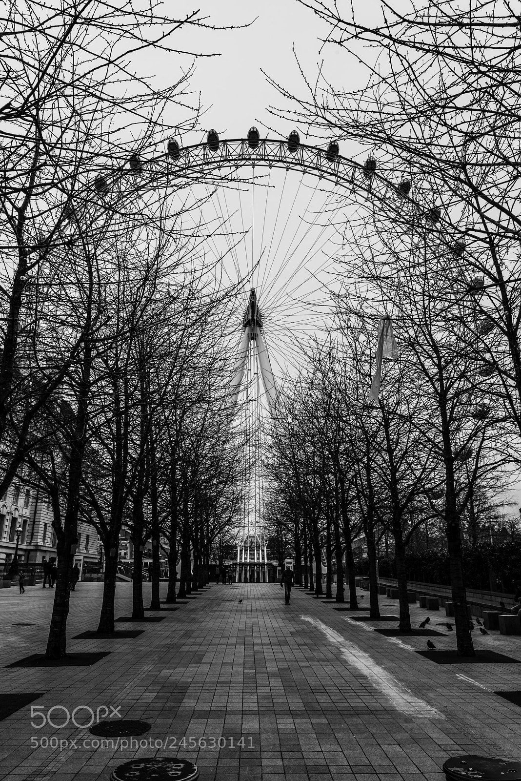 Nikon D810 sample photo. London eye photography