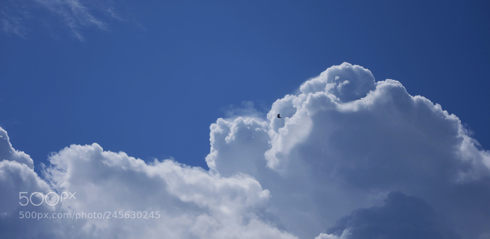 Nikon D7200 sample photo. Keep on dreaming photography
