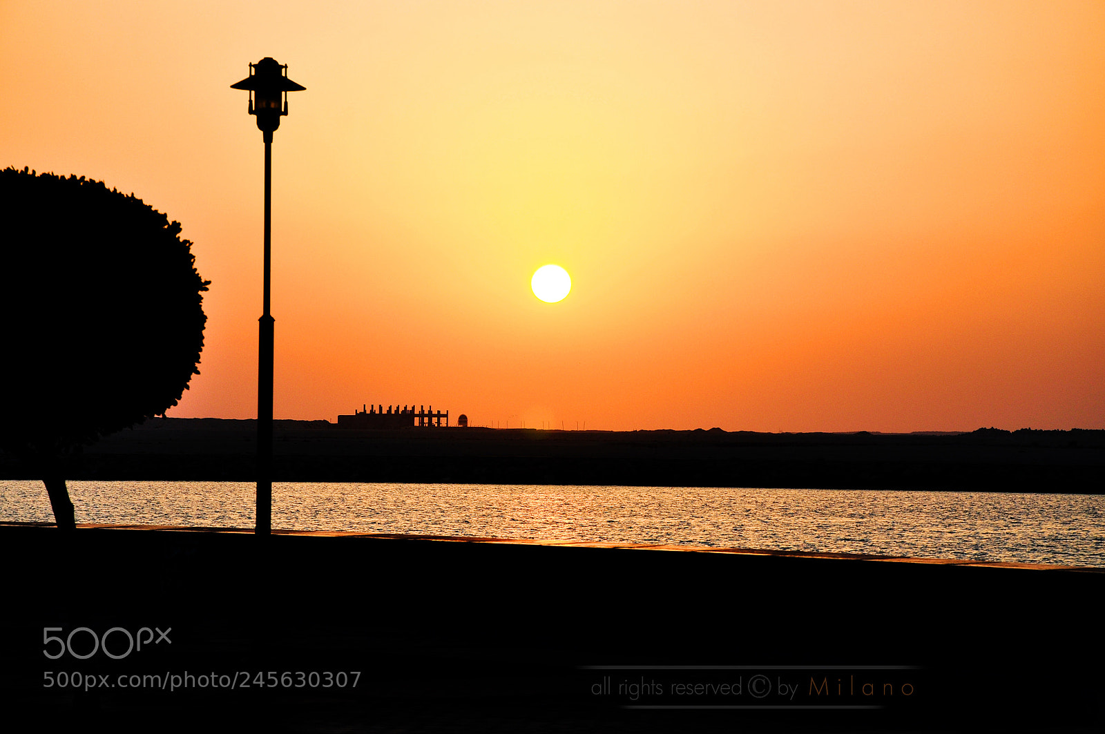 Nikon D90 sample photo. You and i ... photography