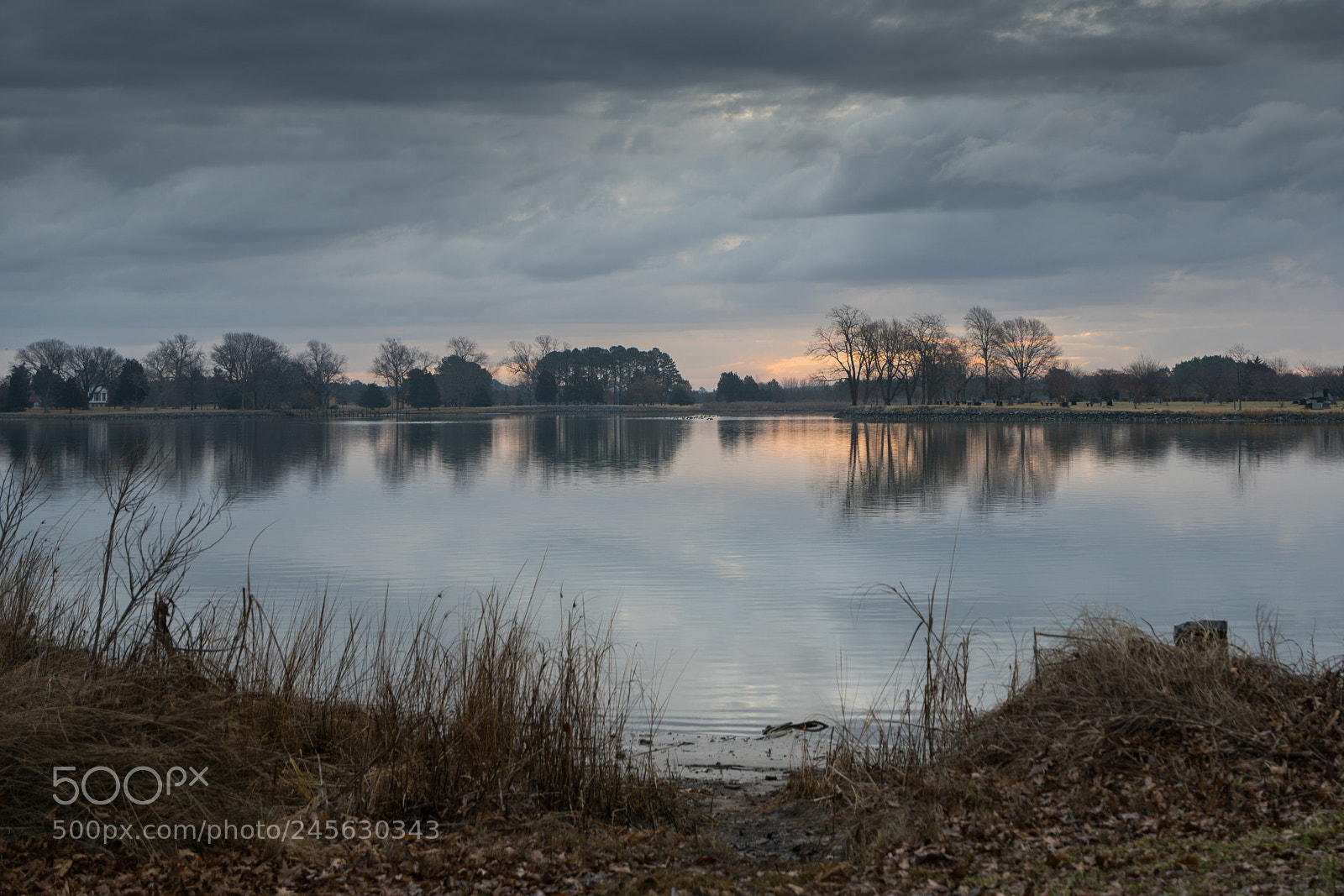 Sony a7R III sample photo. A somber morning photography