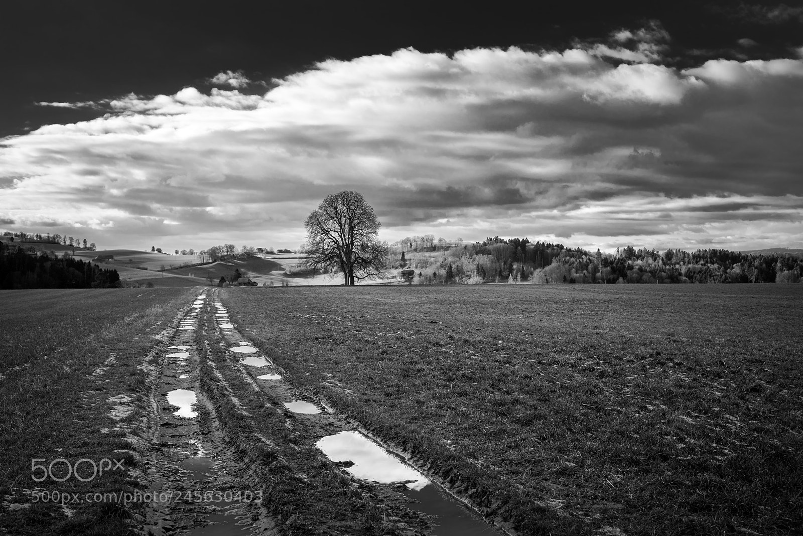 Nikon D810 sample photo. Puddles on the way photography