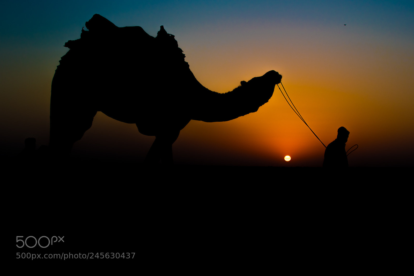 Nikon D5500 sample photo. Sunset photography
