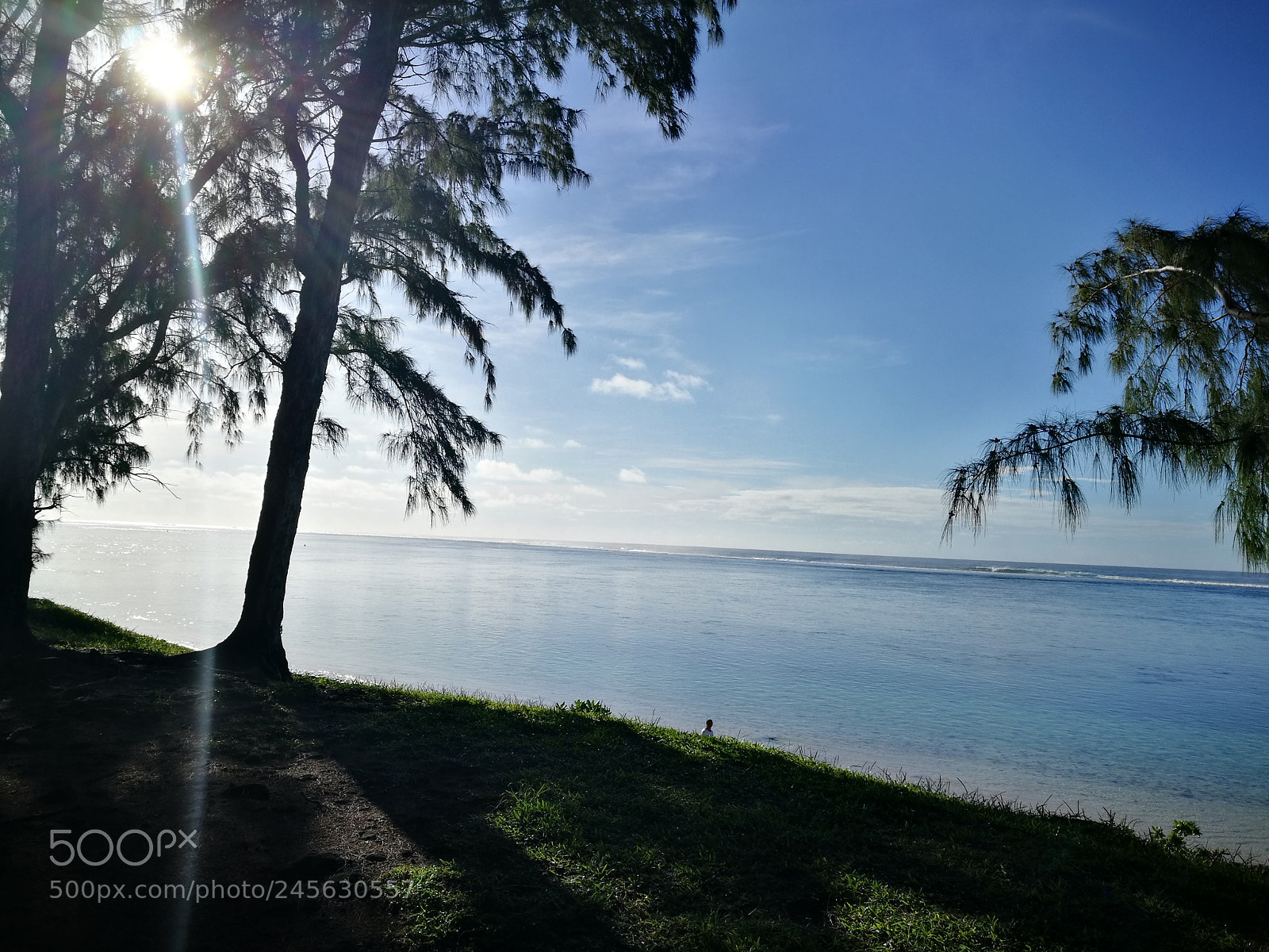 HUAWEI P9 sample photo. Untitled photography