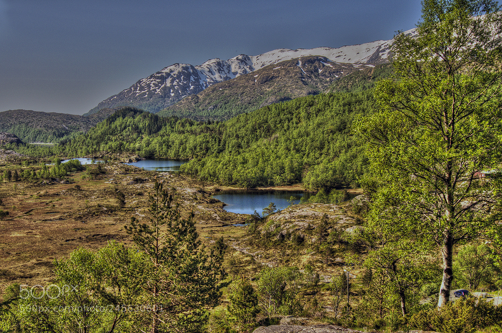 Nikon D300 sample photo. Kr myrane nature reserve photography