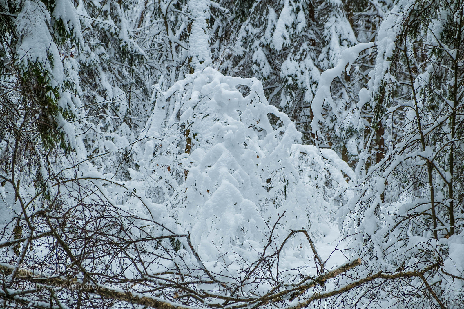 Fujifilm X-M1 sample photo. Snowy photography