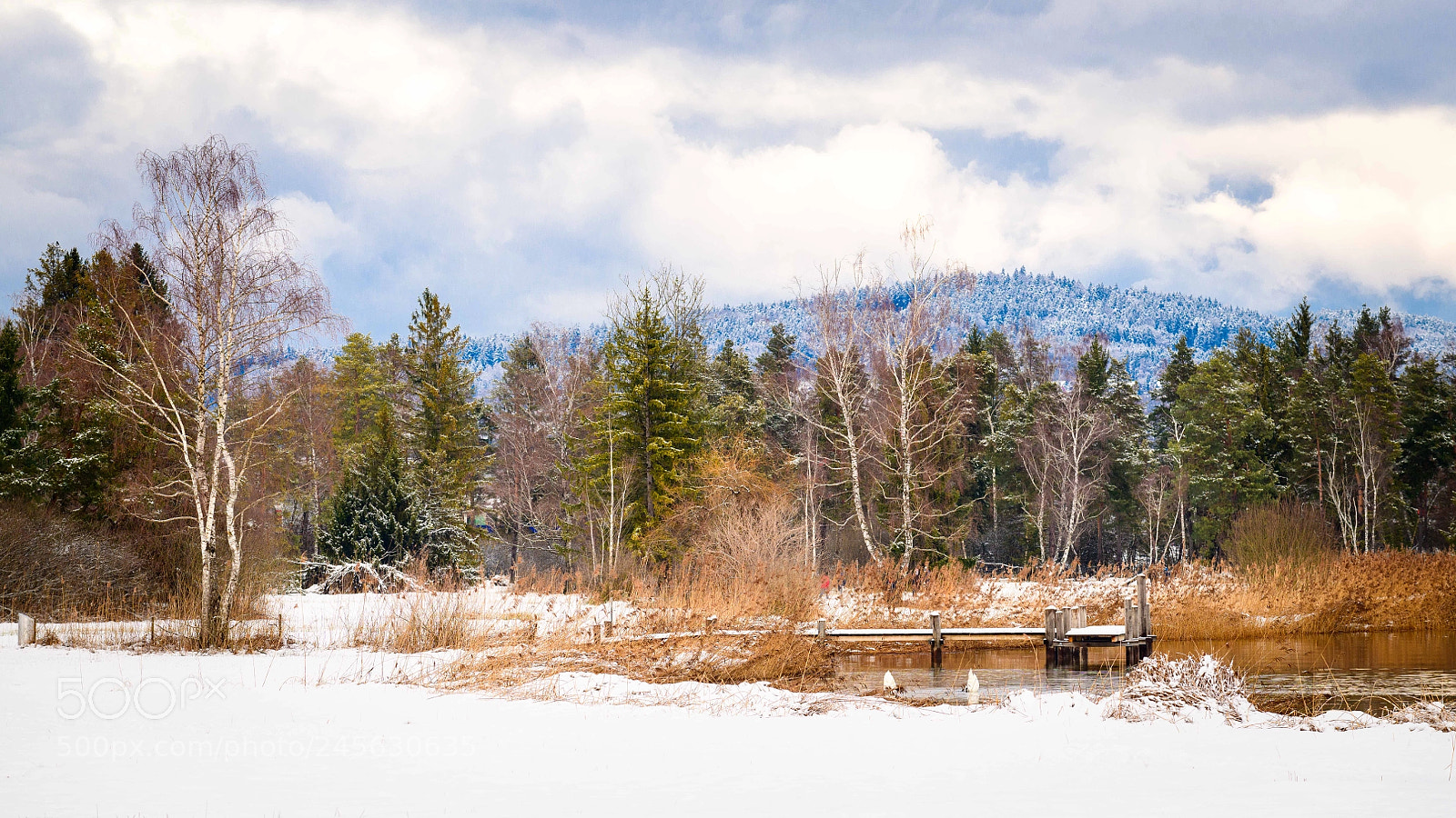 Nikon D850 sample photo. Swiss winter landscape photography