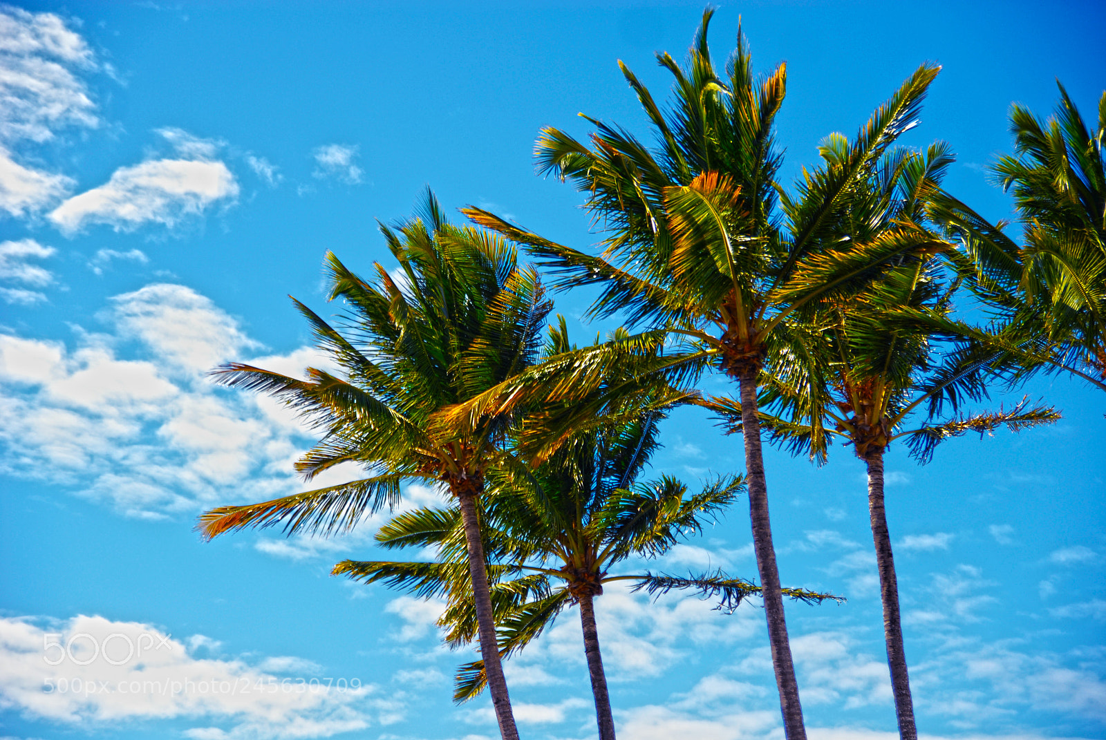 Nikon D200 sample photo. Reunion island photography