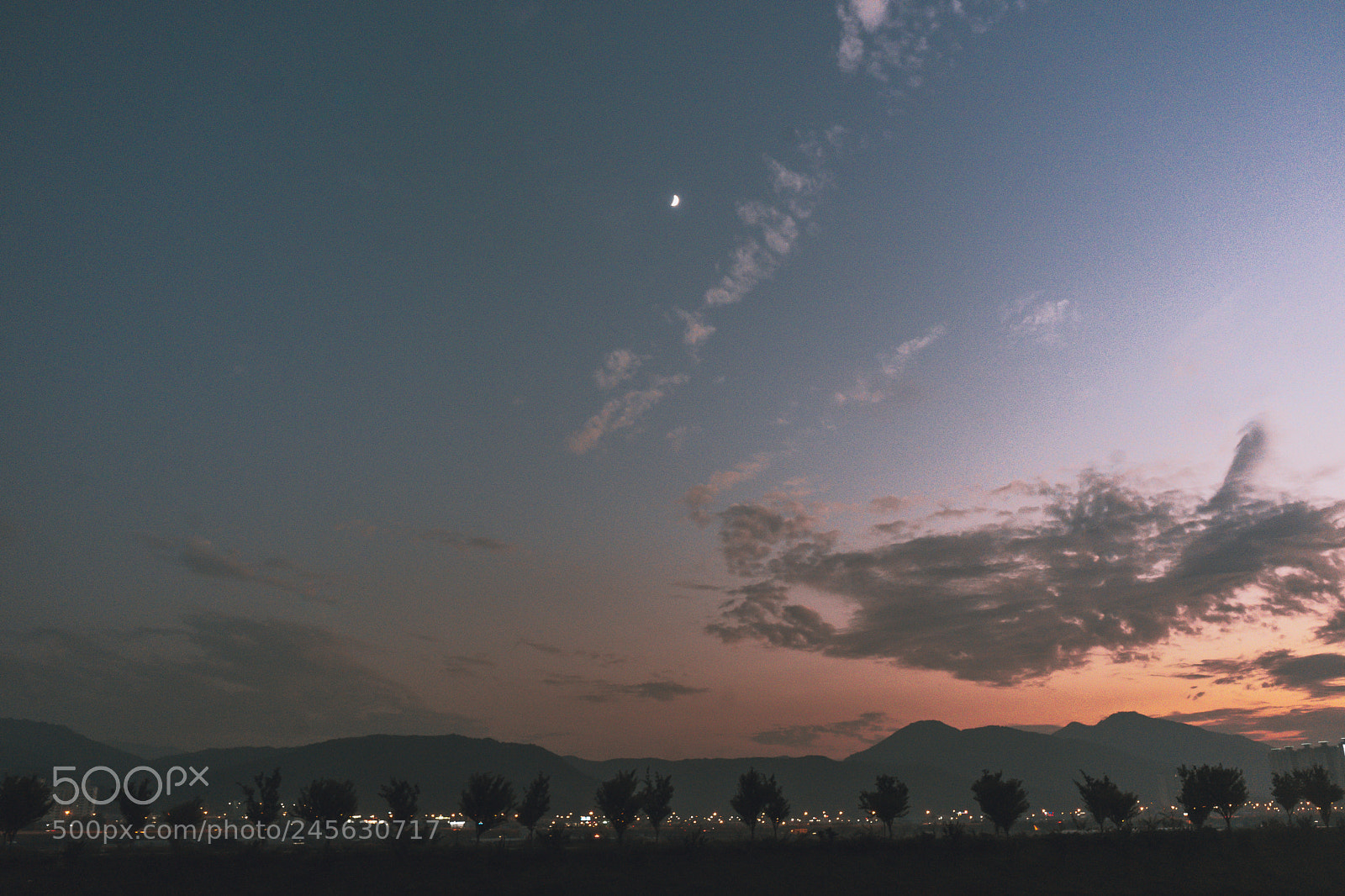 Sony a7 II sample photo. Untitled photography