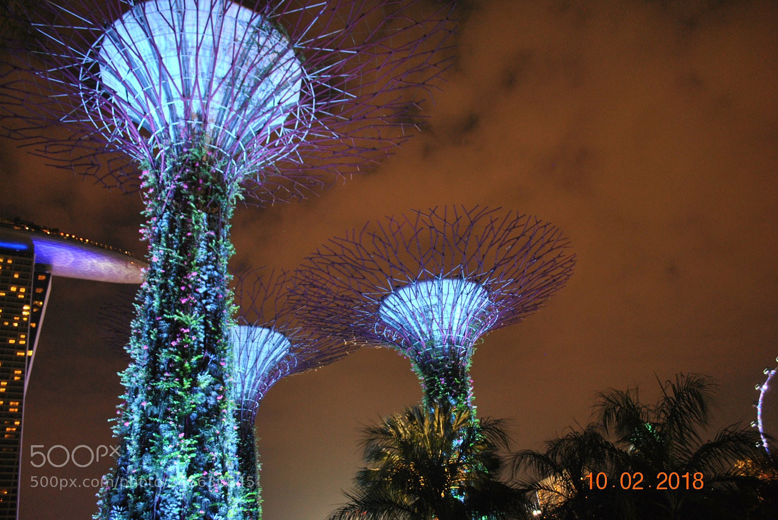 Nikon D3000 sample photo. Colour me bright photography
