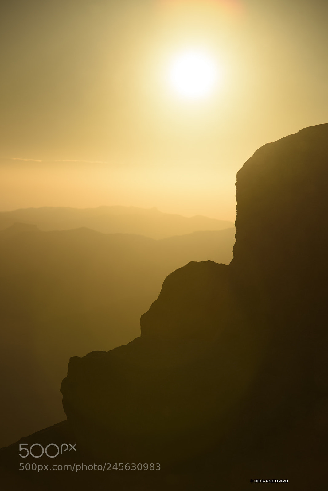 Nikon D810 sample photo. Morning light photography