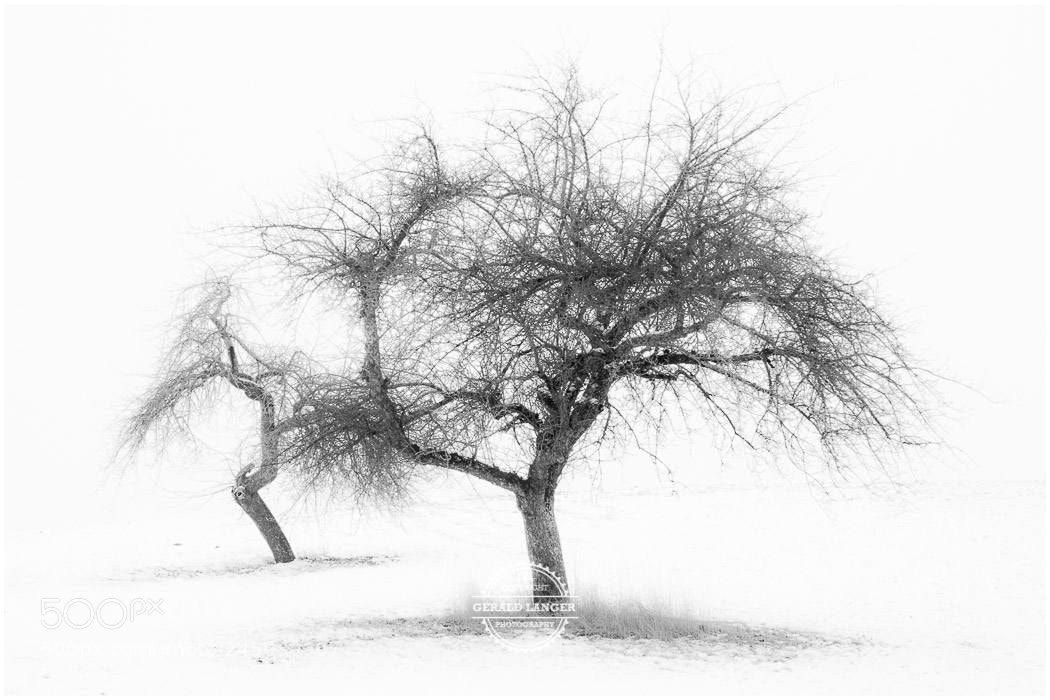 Canon EOS M5 sample photo. Kuernach im schnee photography