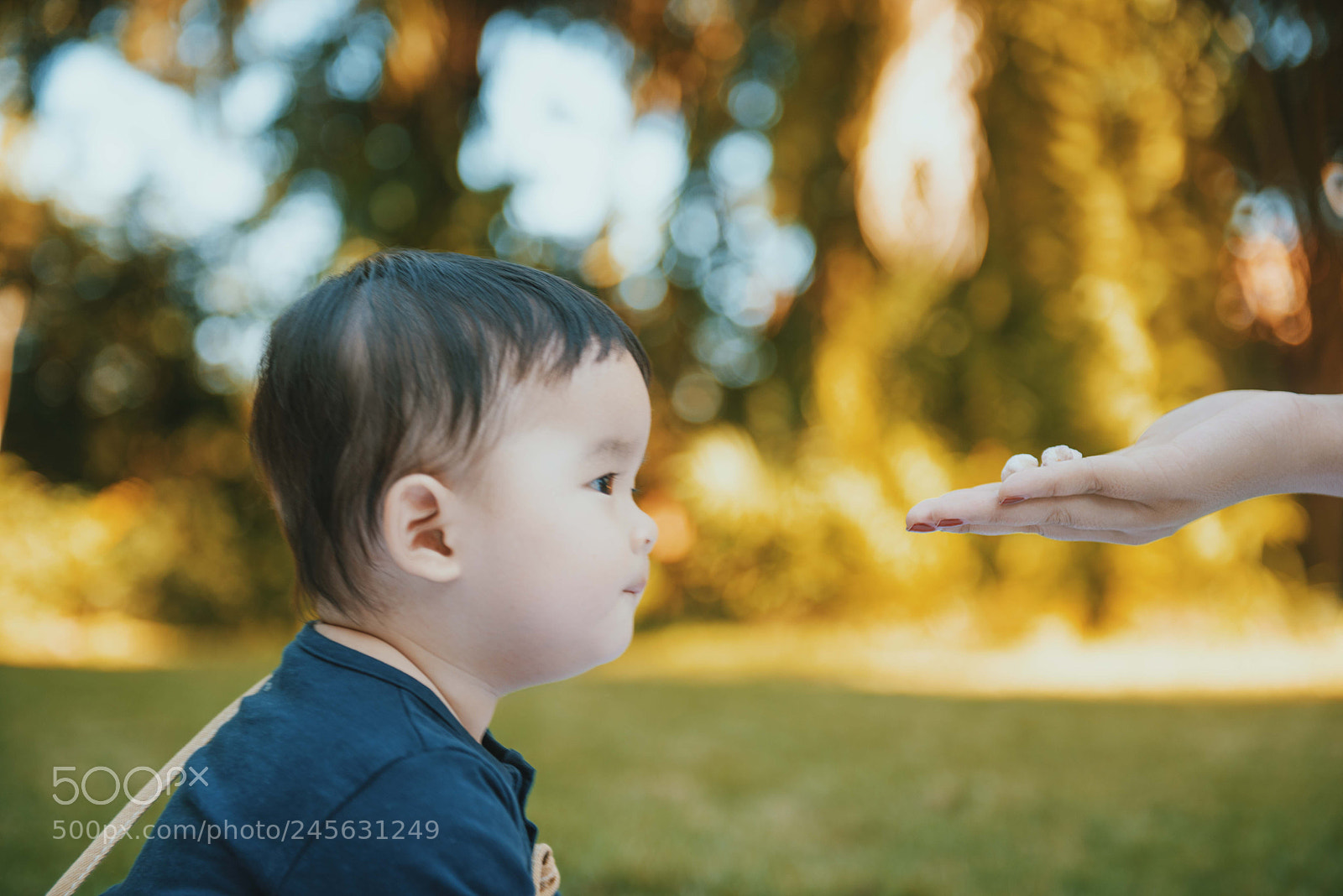Nikon D810 sample photo. Untitled photography