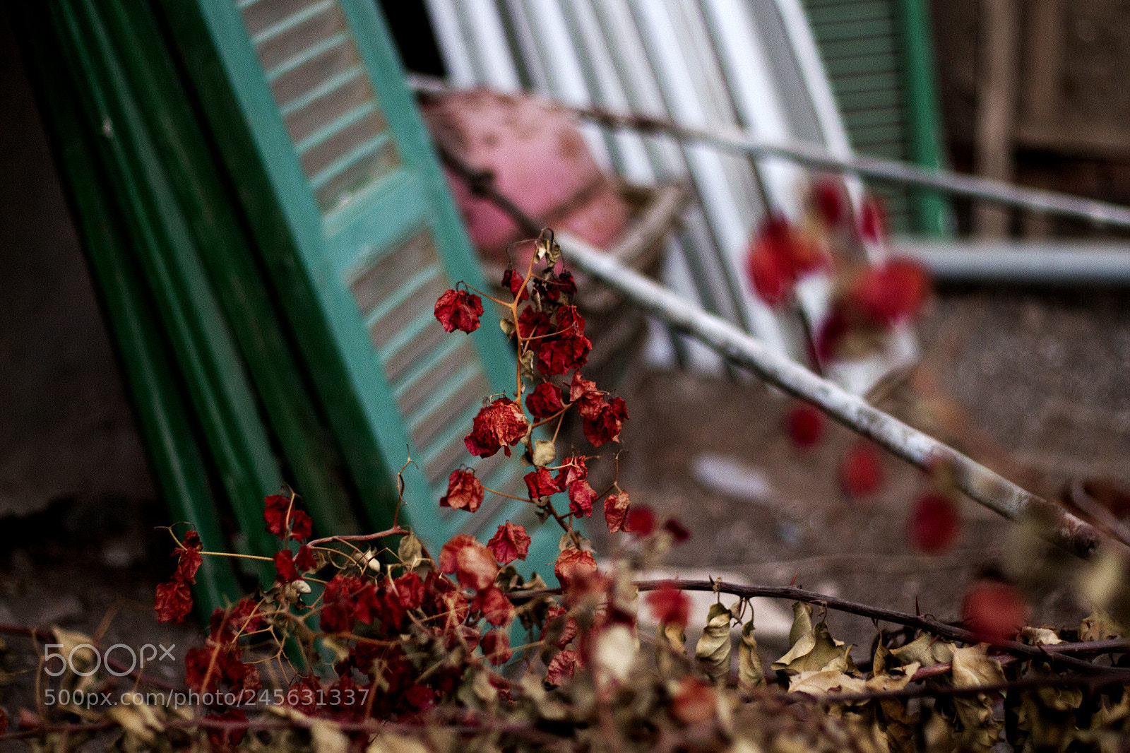 Canon EOS 700D (EOS Rebel T5i / EOS Kiss X7i) sample photo. Vintage red.jpg photography