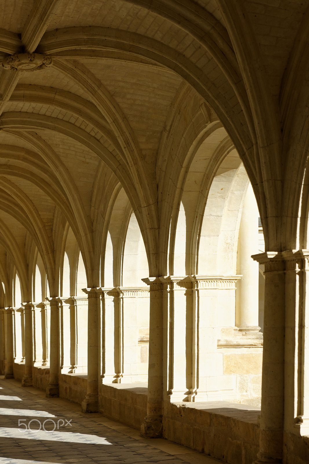 Tamron SP 24-70mm F2.8 Di VC USD sample photo. Fontevraud, abbaye fontevraud, kreuzgang photography