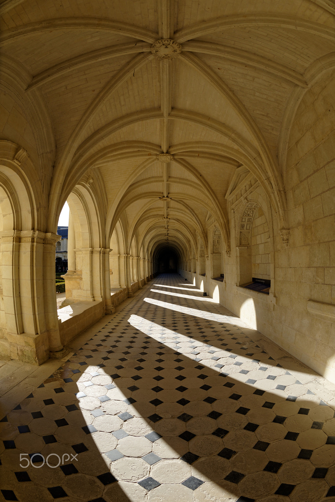 Nikon D810 + Nikon AF Fisheye-Nikkor 16mm F2.8D sample photo. Fontevraud, abbaye fontevraud, kreuzgang photography