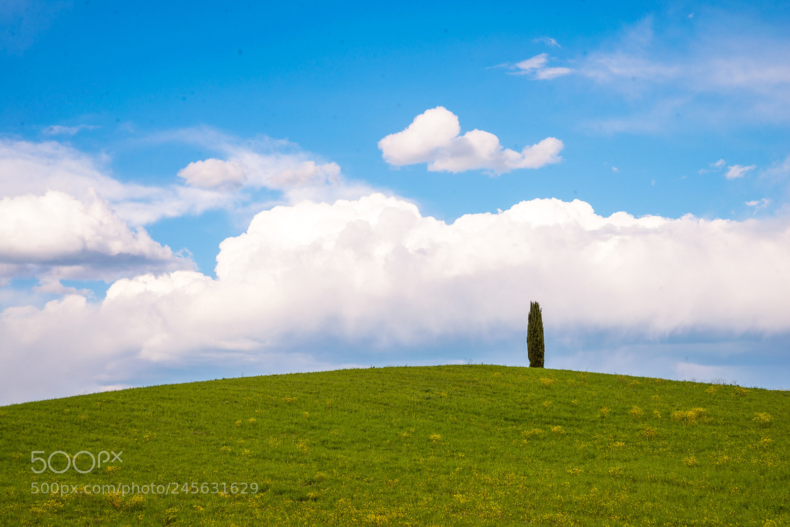 Nikon D600 sample photo. Tuscany photography